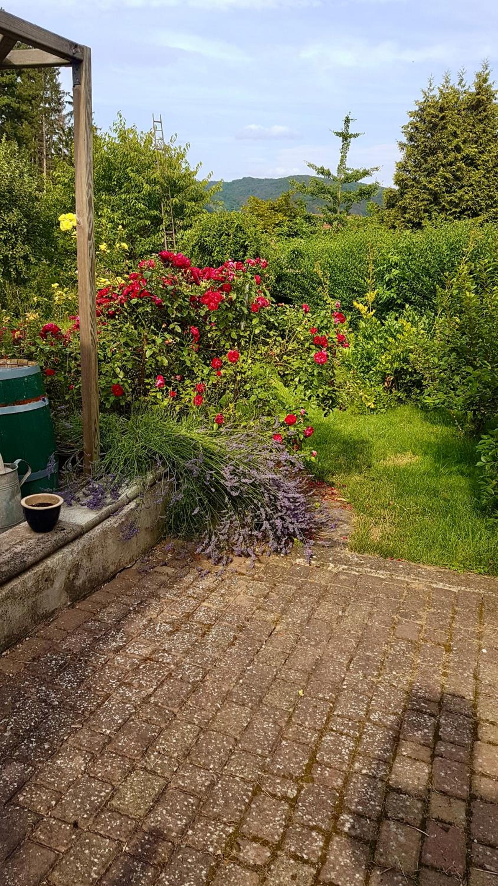Ferienwohnung Kespergarten