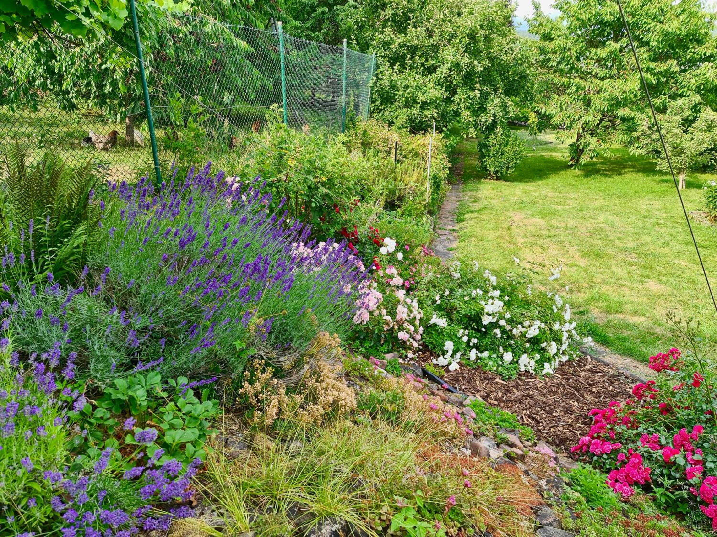 Ferienwohnung Kespergarten