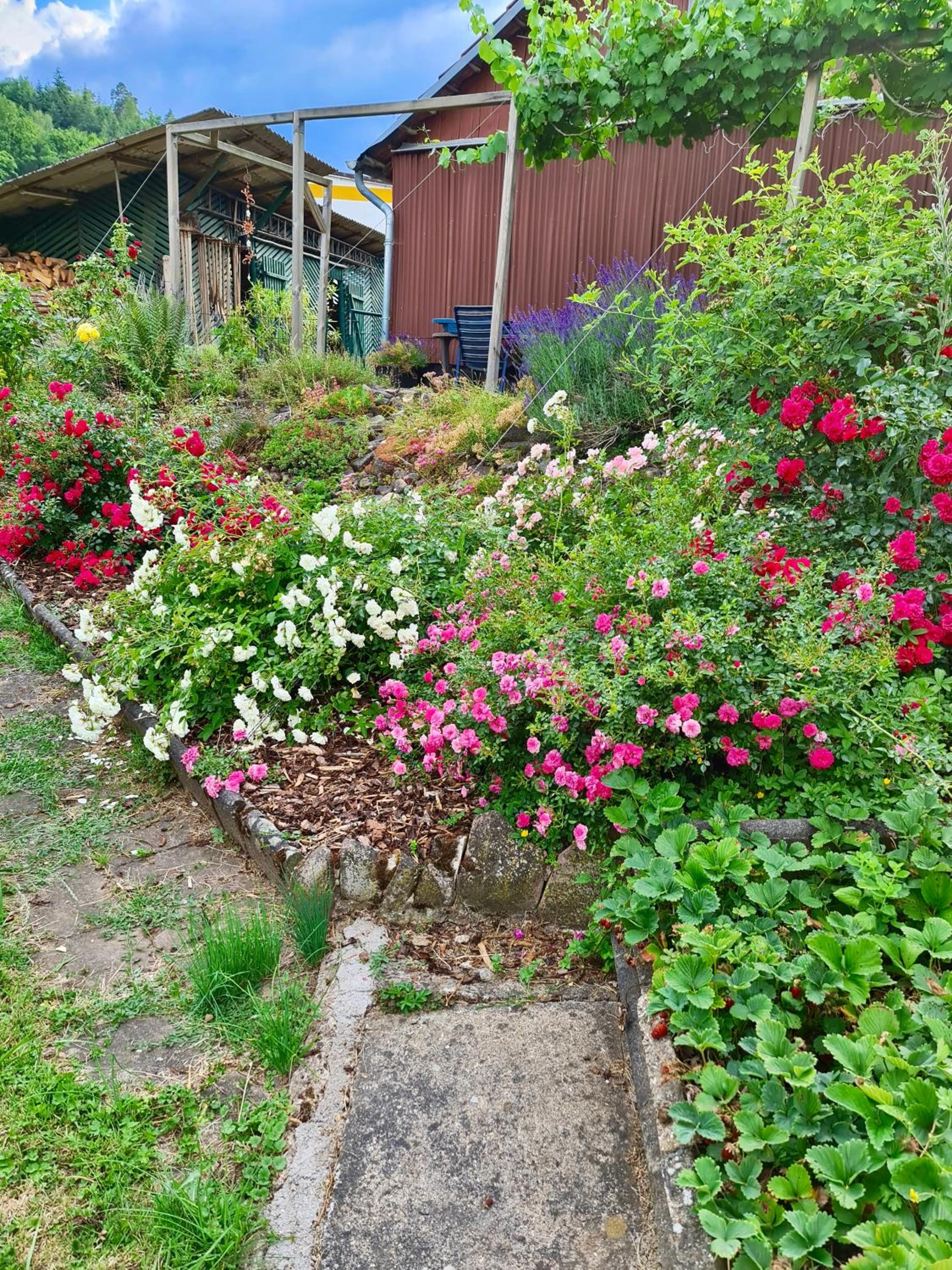 Ferienwohnung Kespergarten