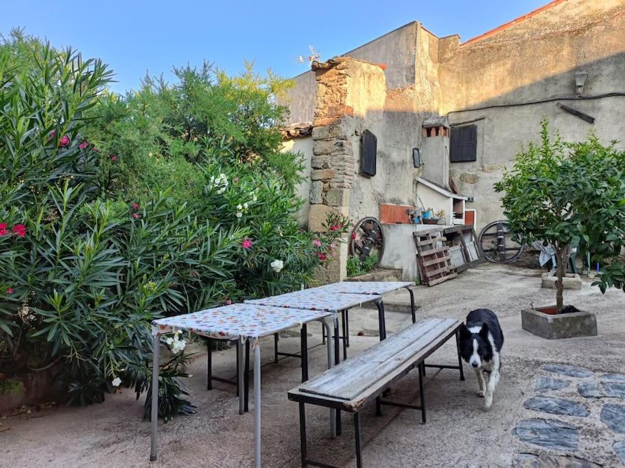 Apartamentos rurales casagrande de Extremadura