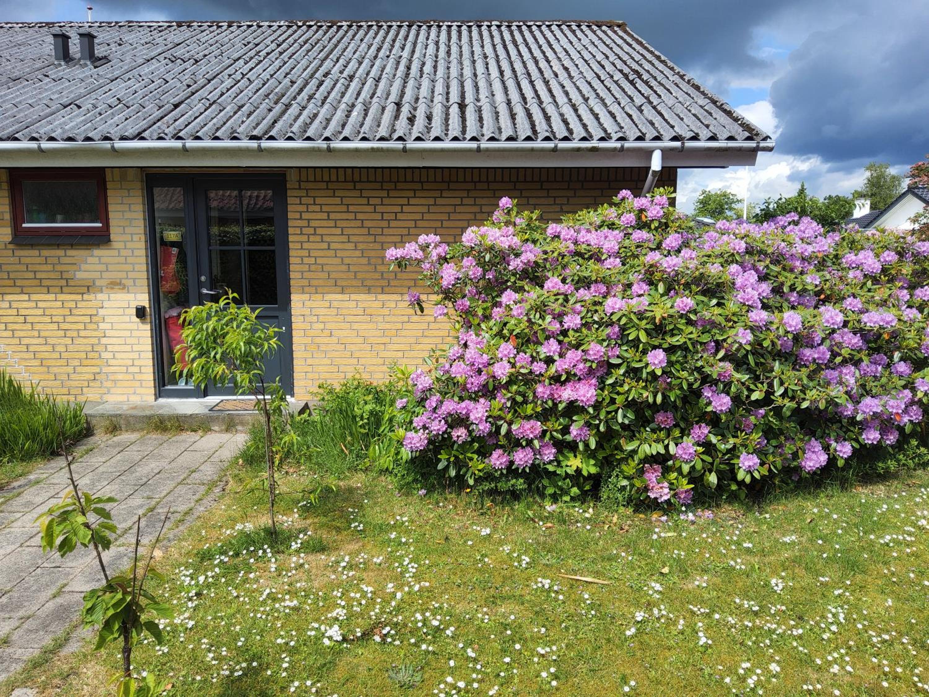 Photo 31