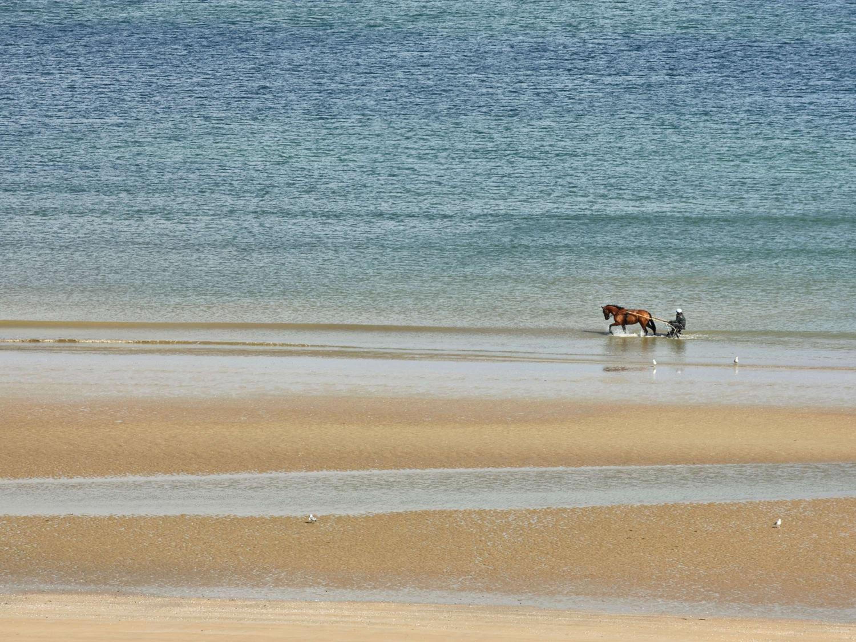Cabourg Vacations - Le Grand Hotel de Cabourg - MGallery Hotel Collection - Property Image 19