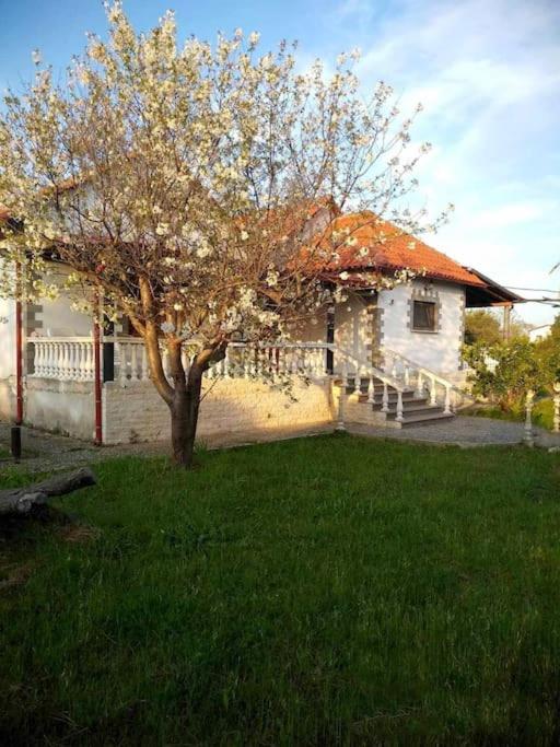 Chalkidiki Secret Garden