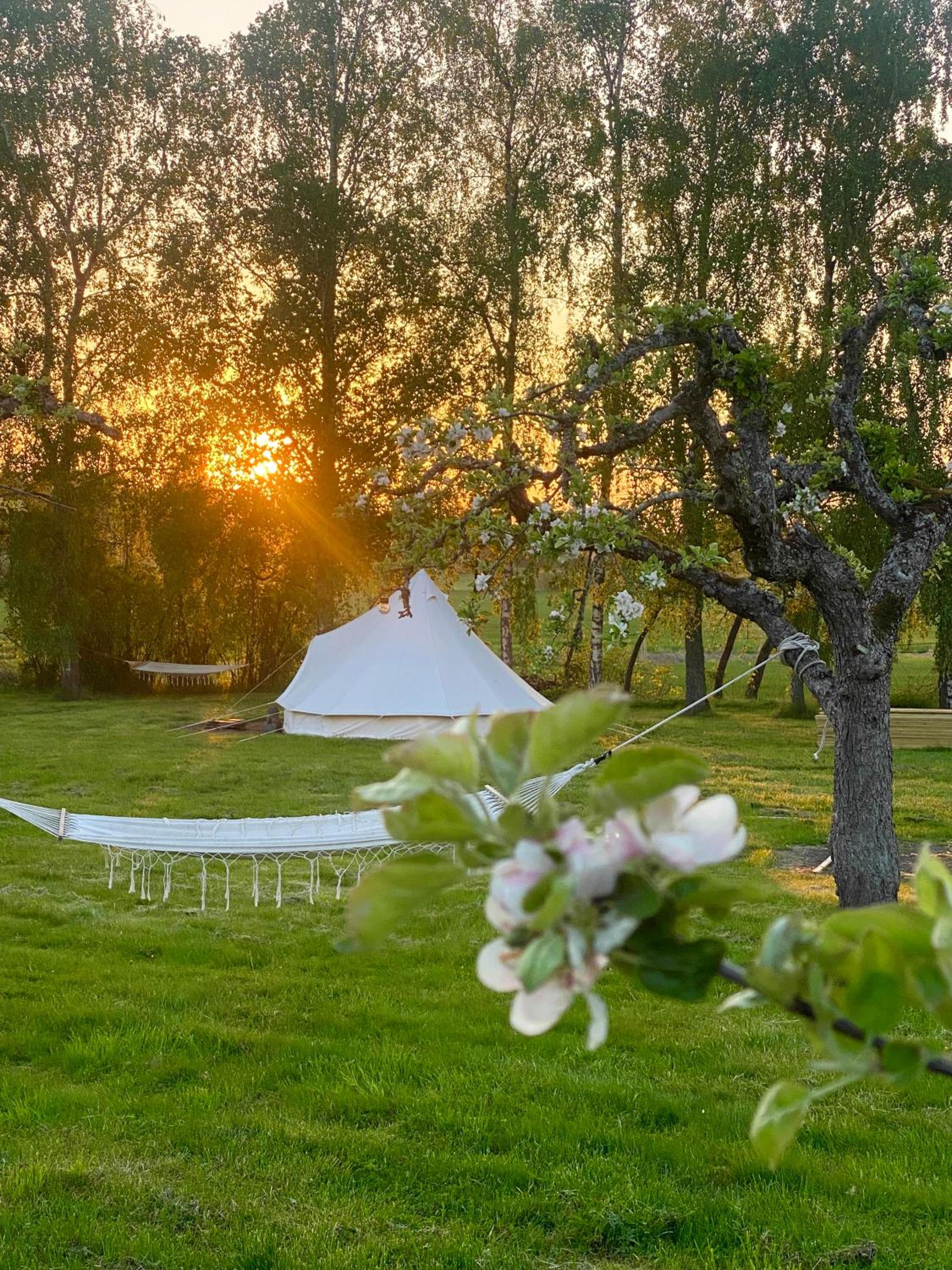 Sörby Glamping
