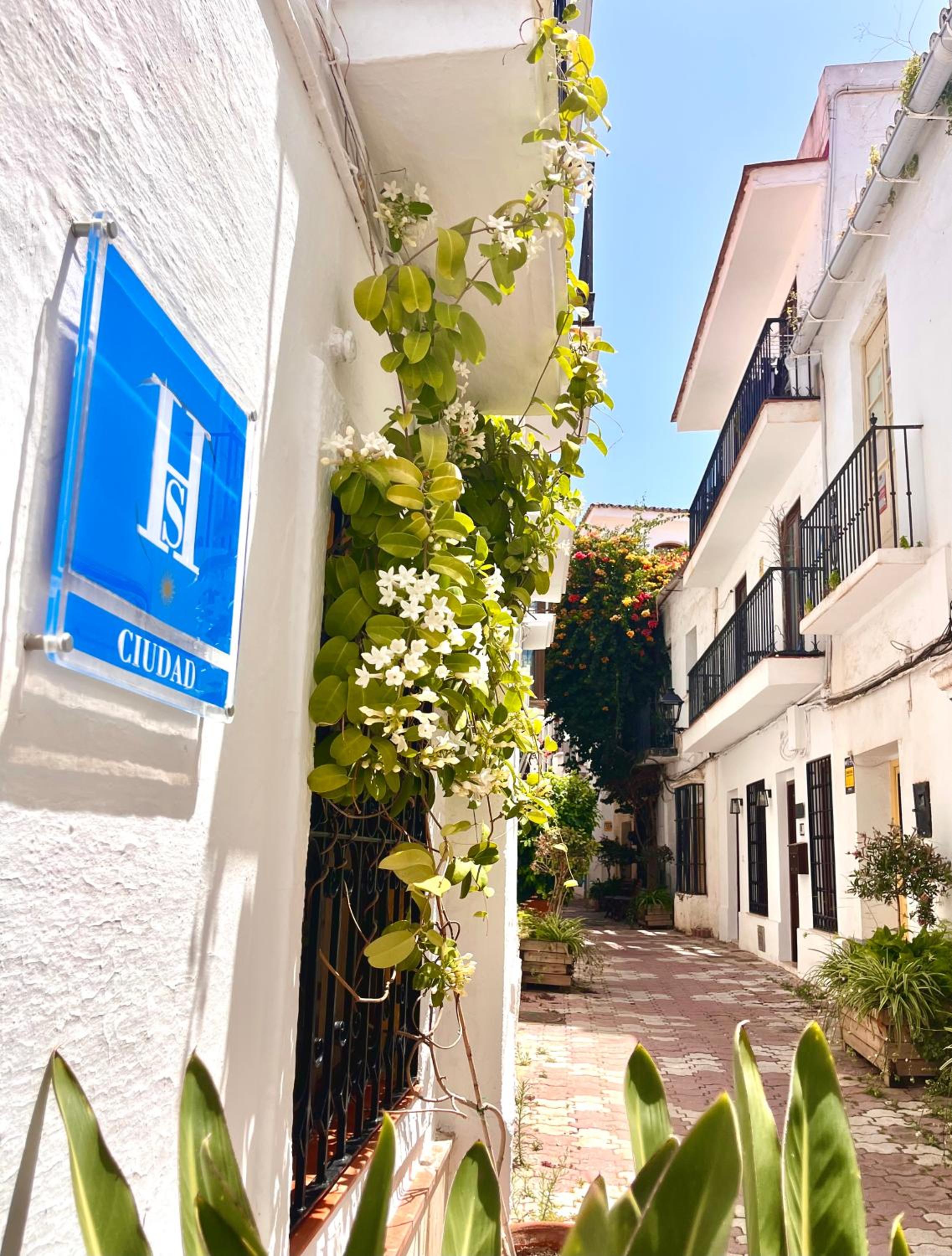 Hostal Enriqueta