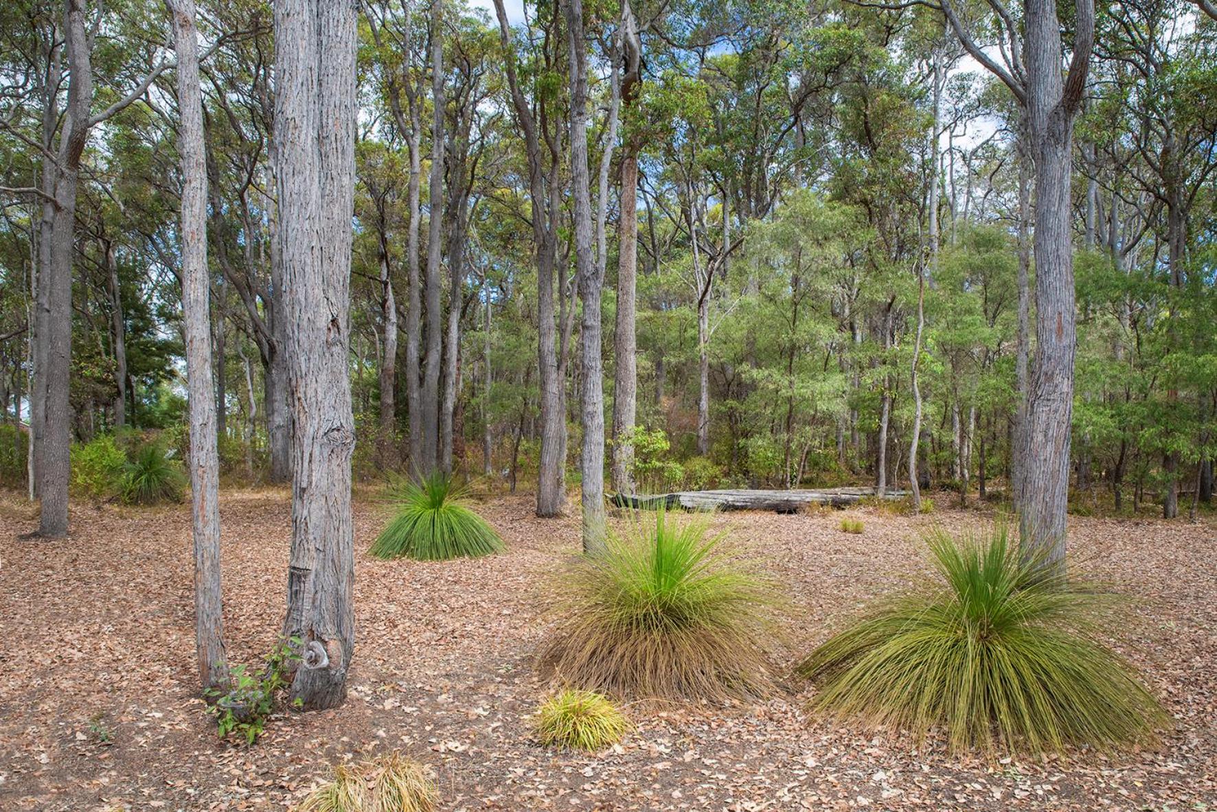 Cape Illawarra Holiday House Margaret River