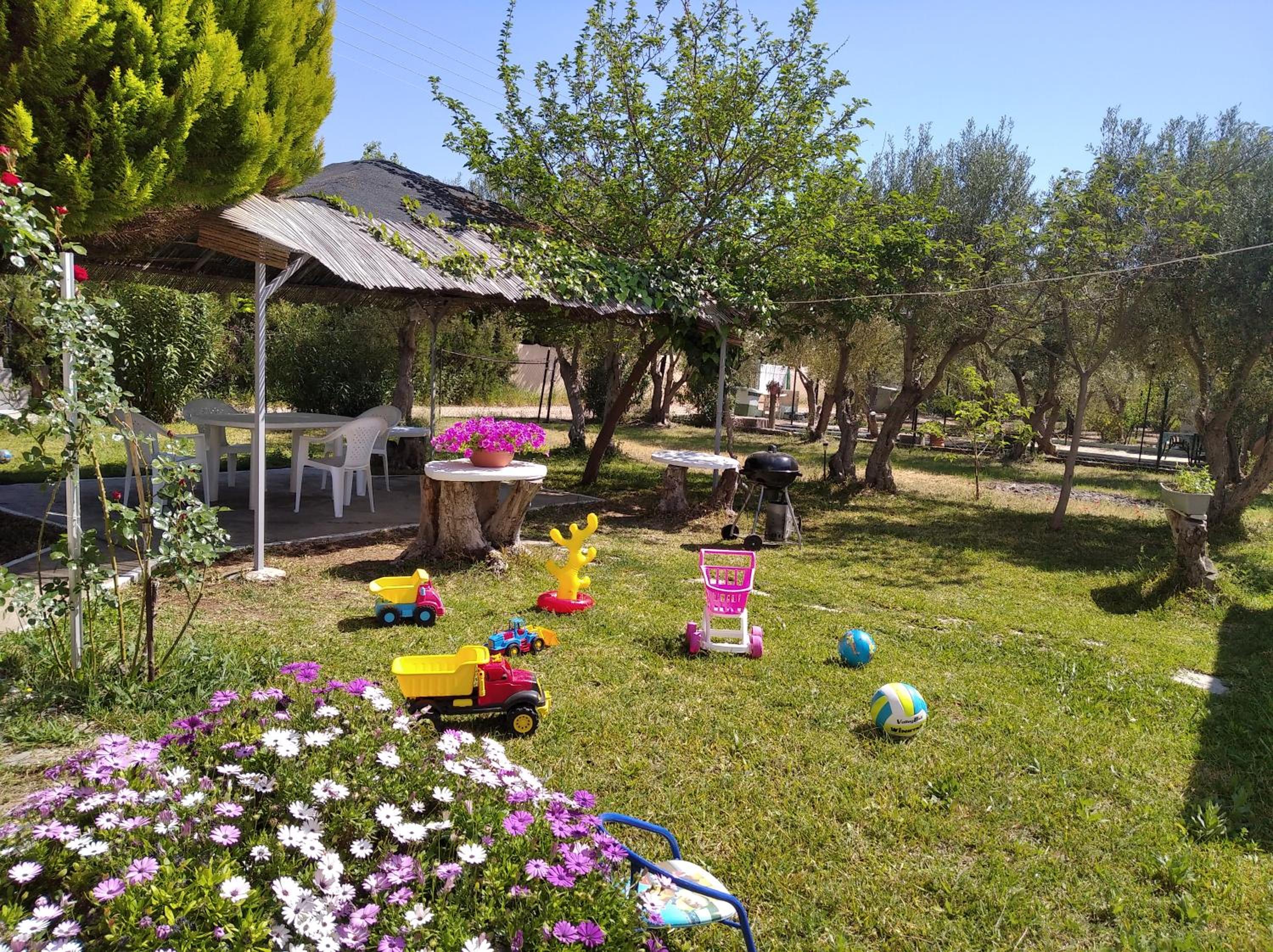 Photo 40