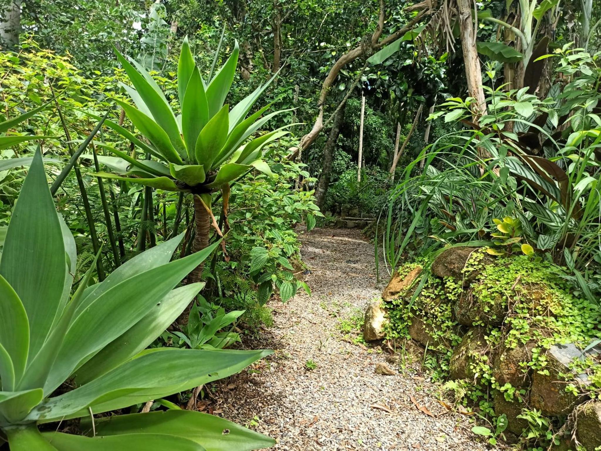 Casa Juçara & Casa Tucano - Floripa - Exclusive Forest Escape