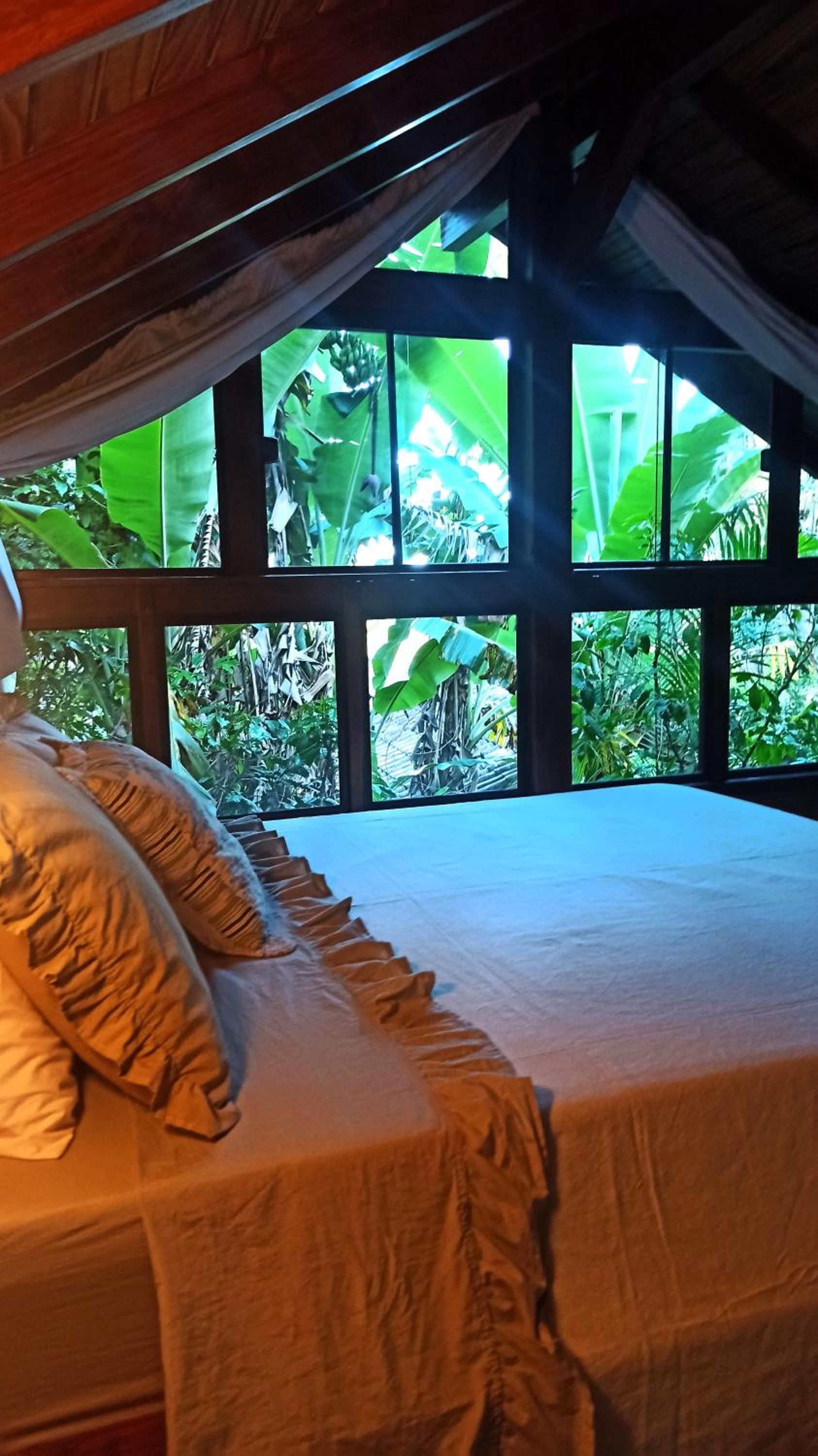 Casa Juçara & Casa Tucano - Floripa - Exclusive Forest Escape