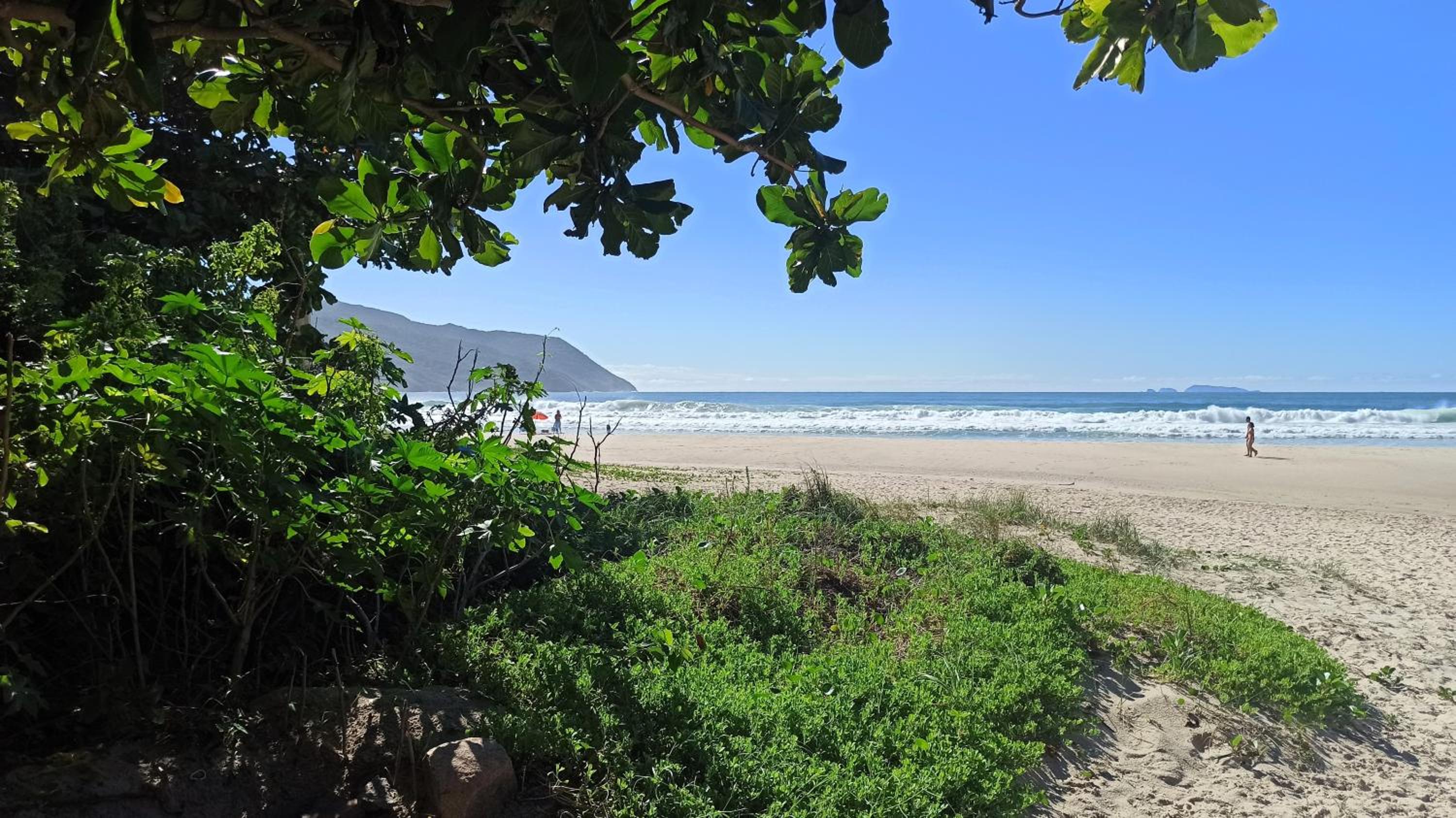 Casa Juçara & Casa Tucano - Floripa - Exclusive Forest Escape