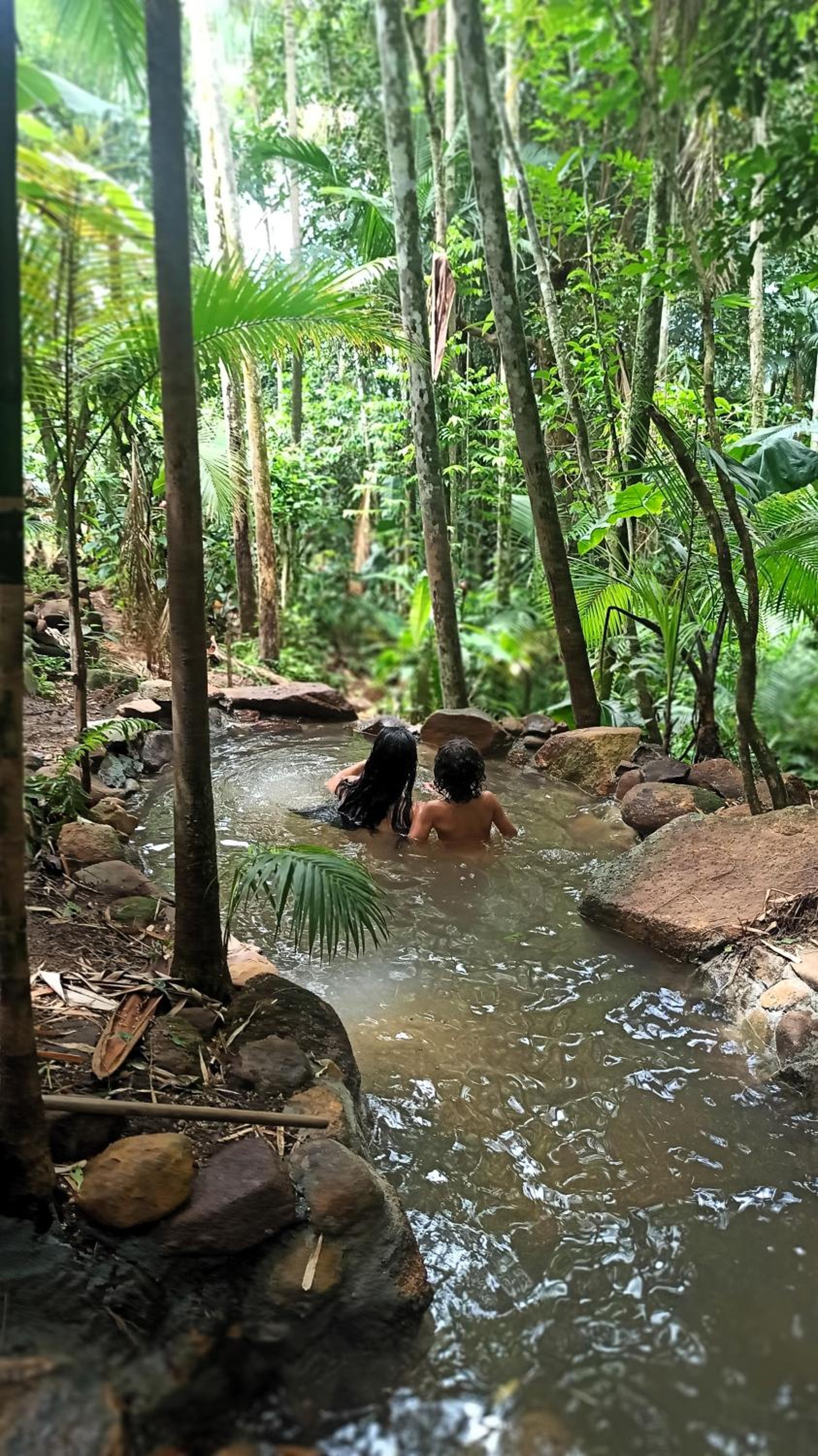 Casa Juçara & Casa Tucano - Floripa - Exclusive Forest Escape