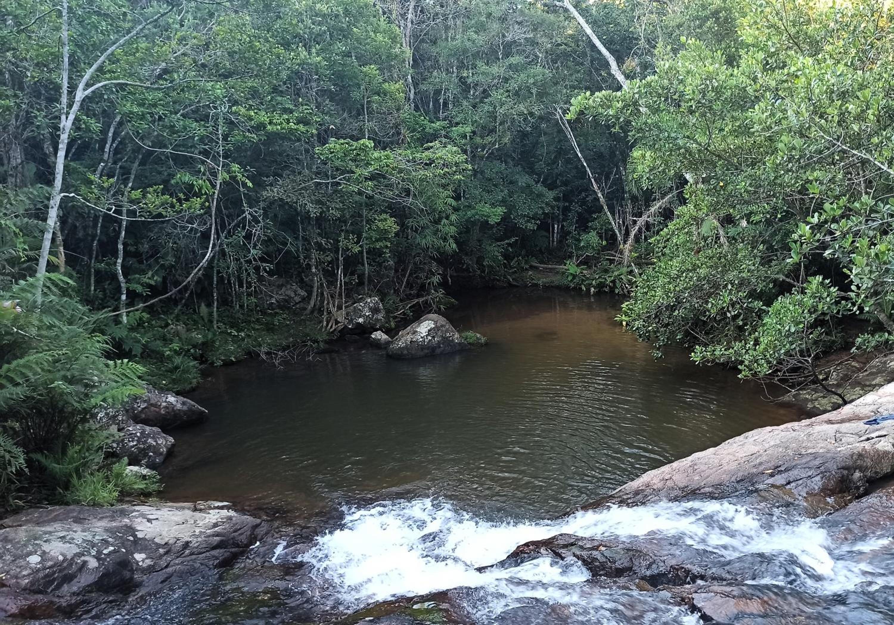 Casa Juçara & Casa Tucano - Floripa - Exclusive Forest Escape