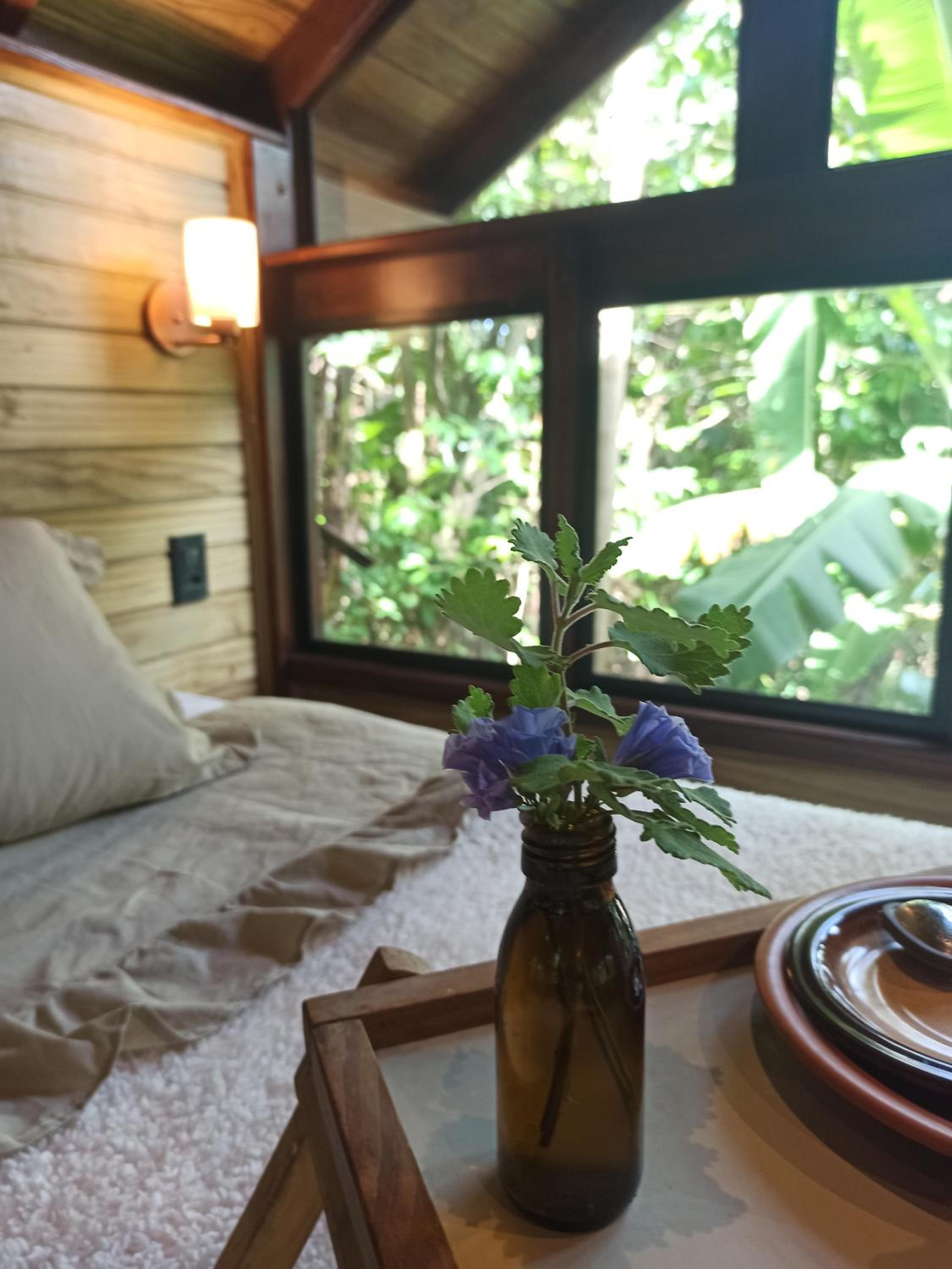 Casa Juçara & Casa Tucano - Floripa - Exclusive Forest Escape