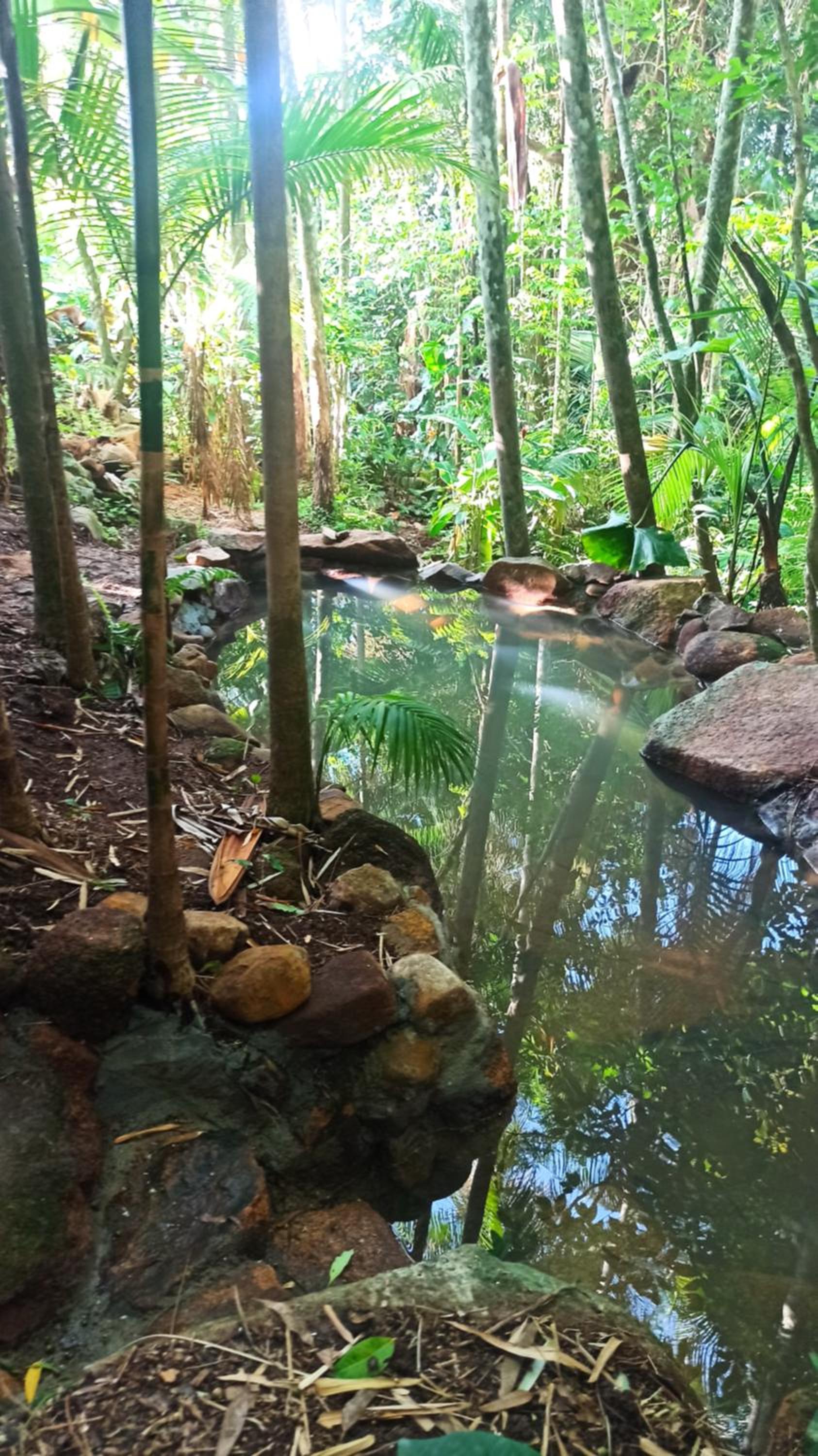 Casa Juçara & Casa Tucano - Floripa - Exclusive Forest Escape