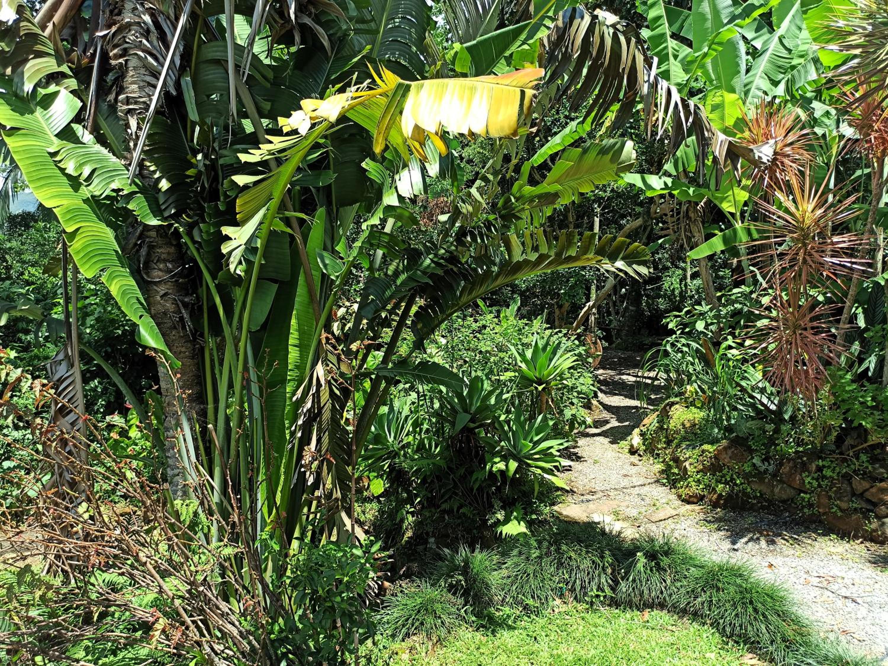 Casa Juçara & Casa Tucano - Floripa - Exclusive Forest Escape