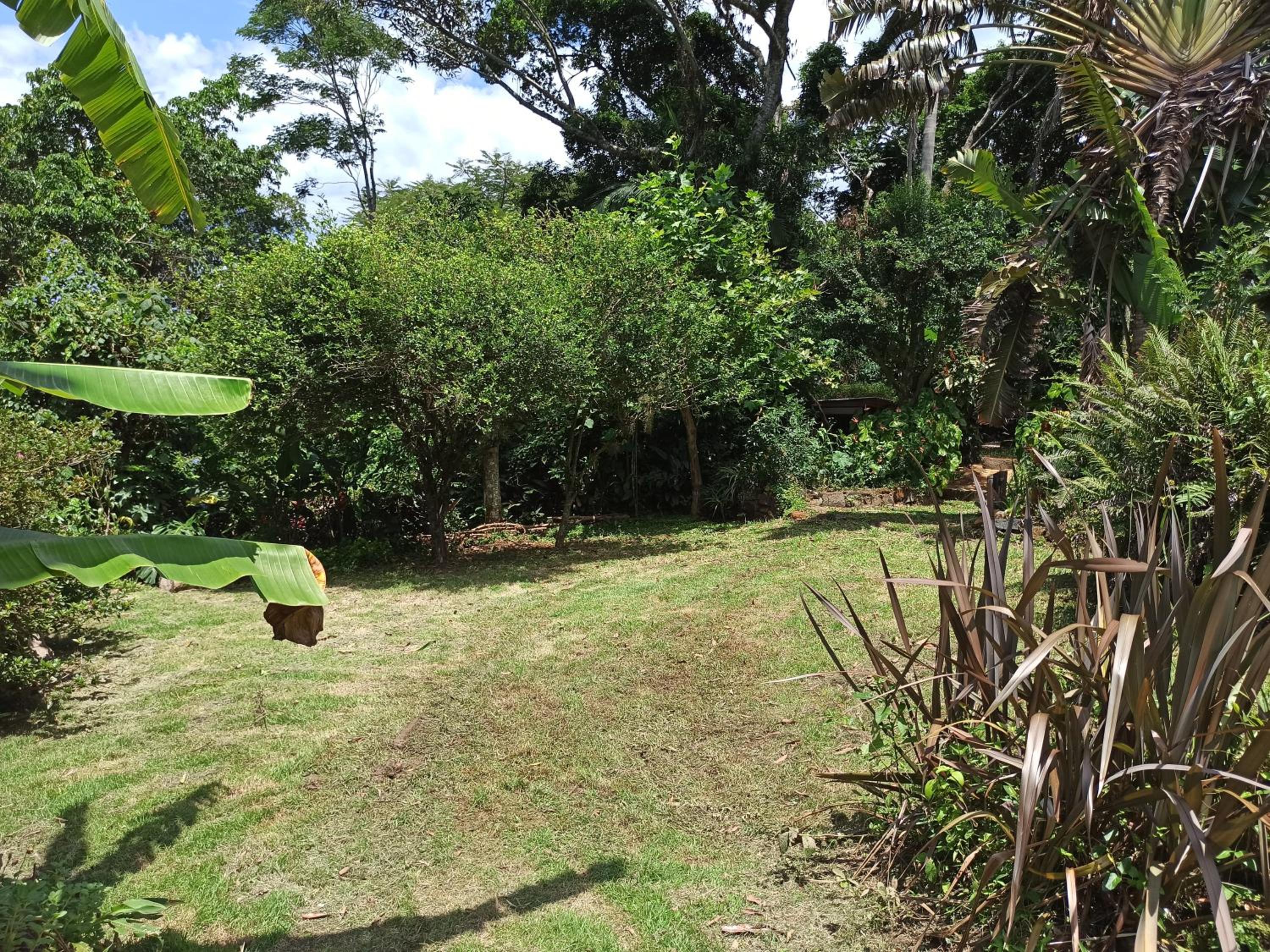 Casa Juçara & Casa Tucano - Floripa - Exclusive Forest Escape