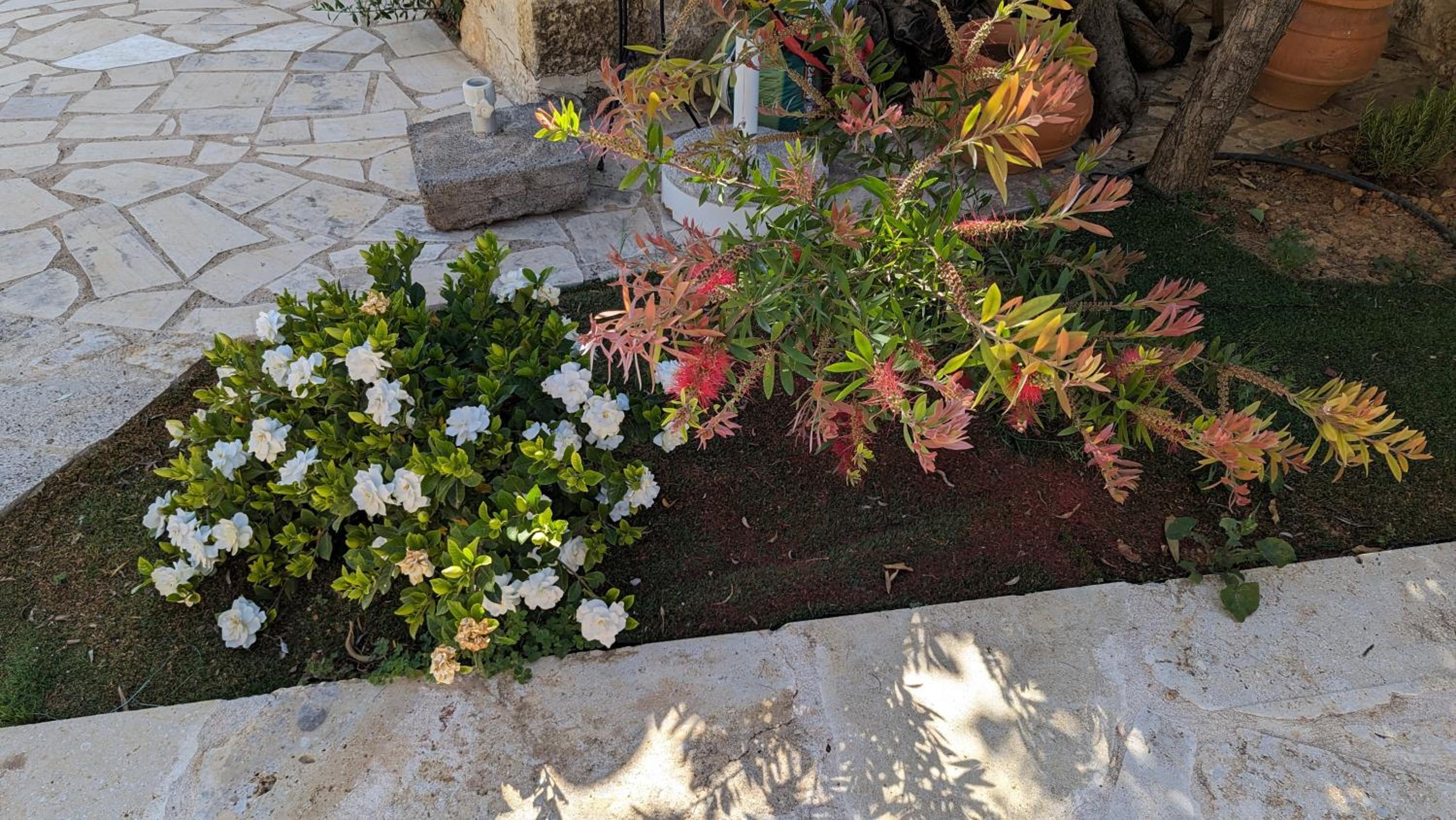 Photo 48