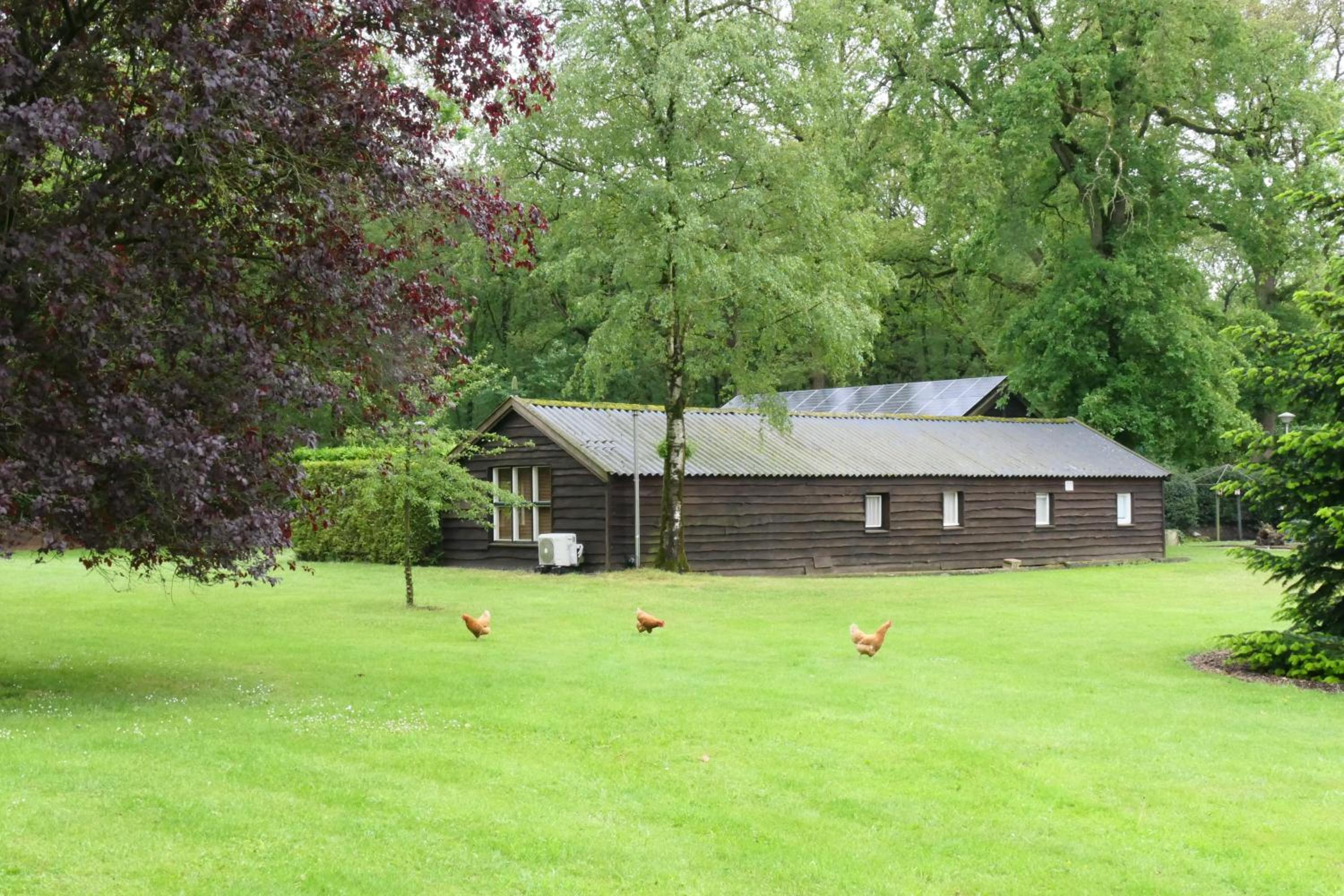 Photo 16