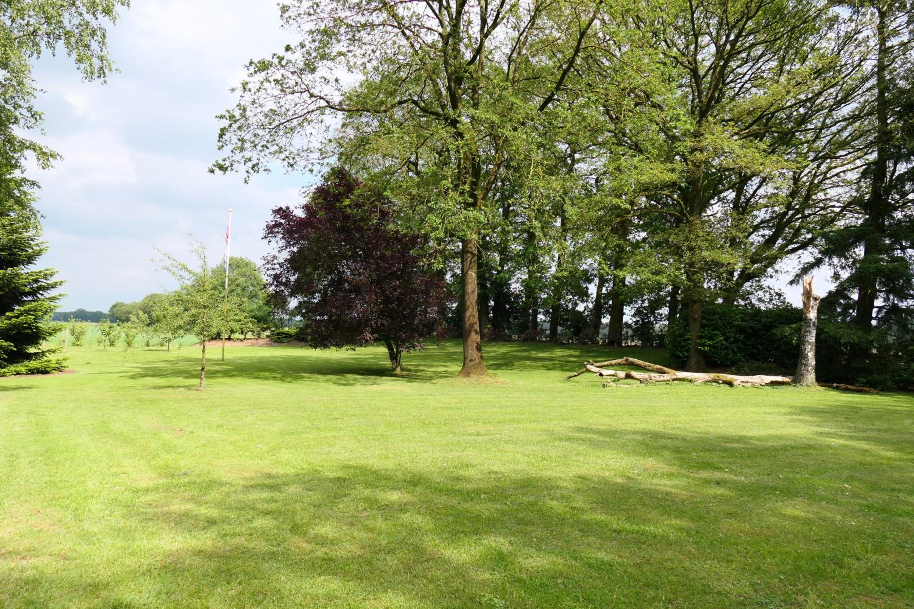 Photo 25