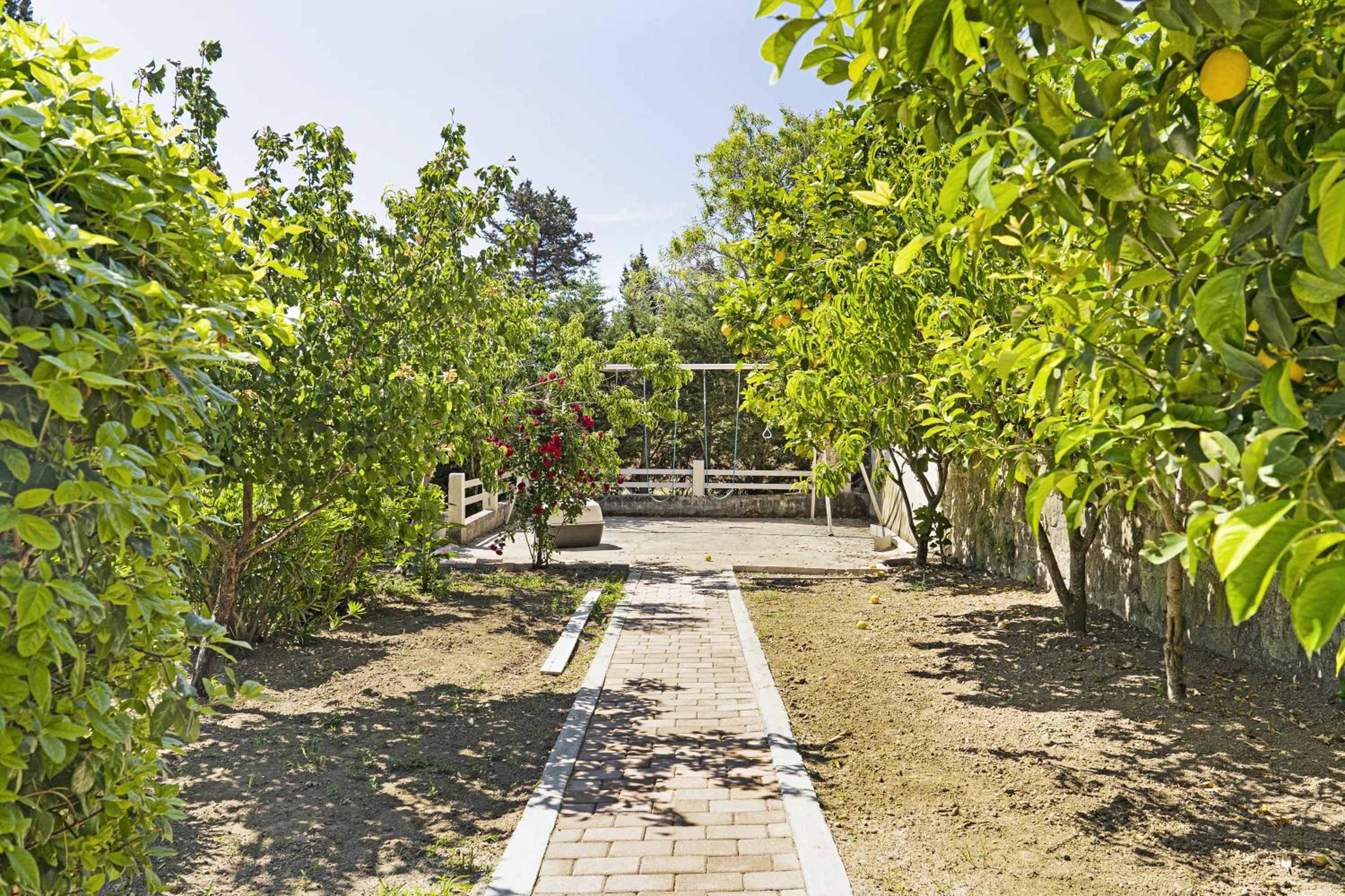 Photo 21