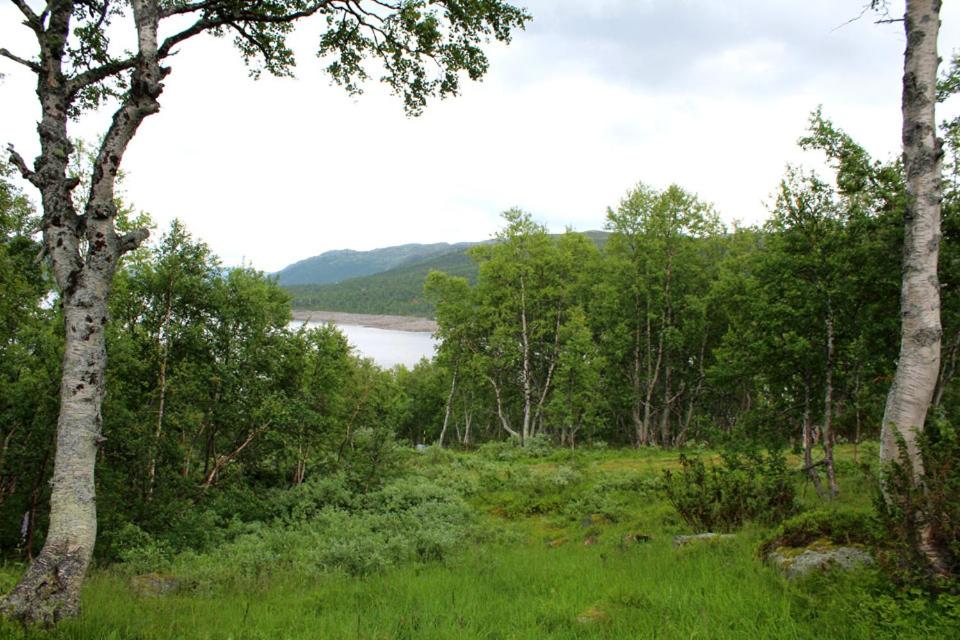 Photo 19