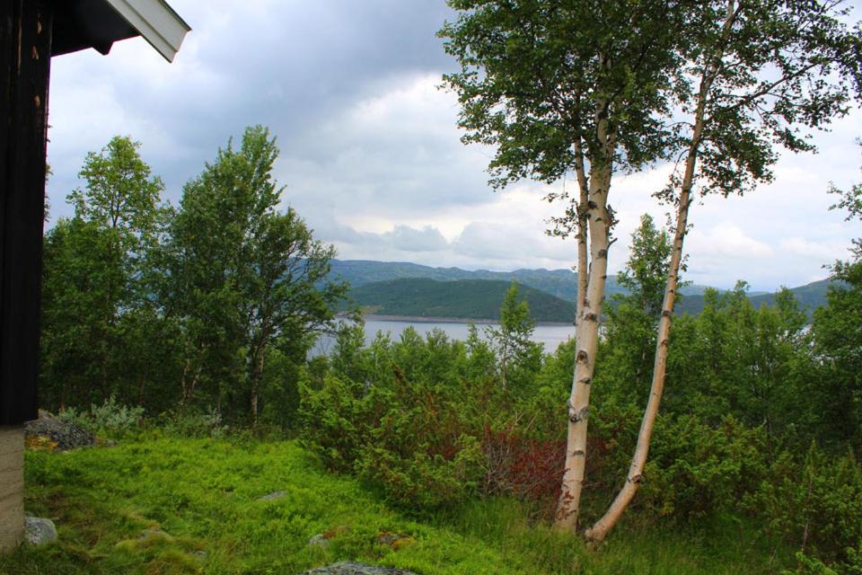 Jonstølen by Norgesbooking - cabin at 1020 masl view 2