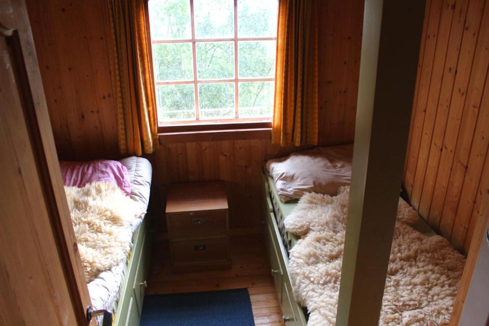 Photo 9