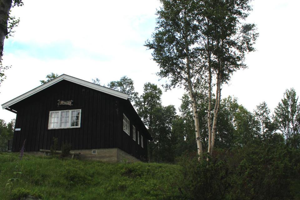 Photo 16