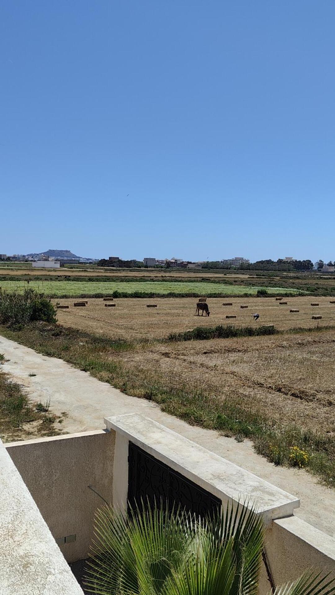 Villa Nour Kélibia view 2
