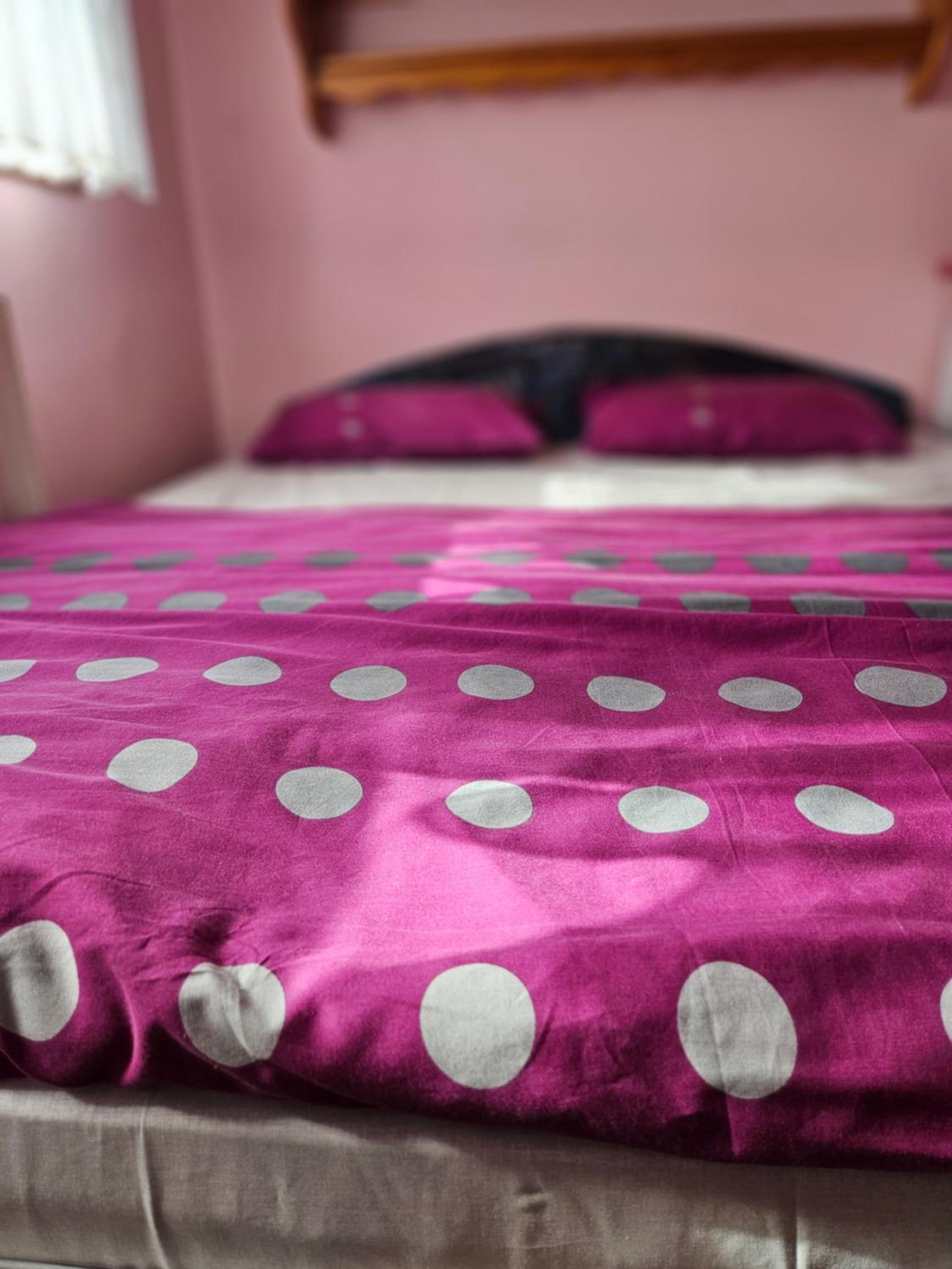 Apartma Cipresa
