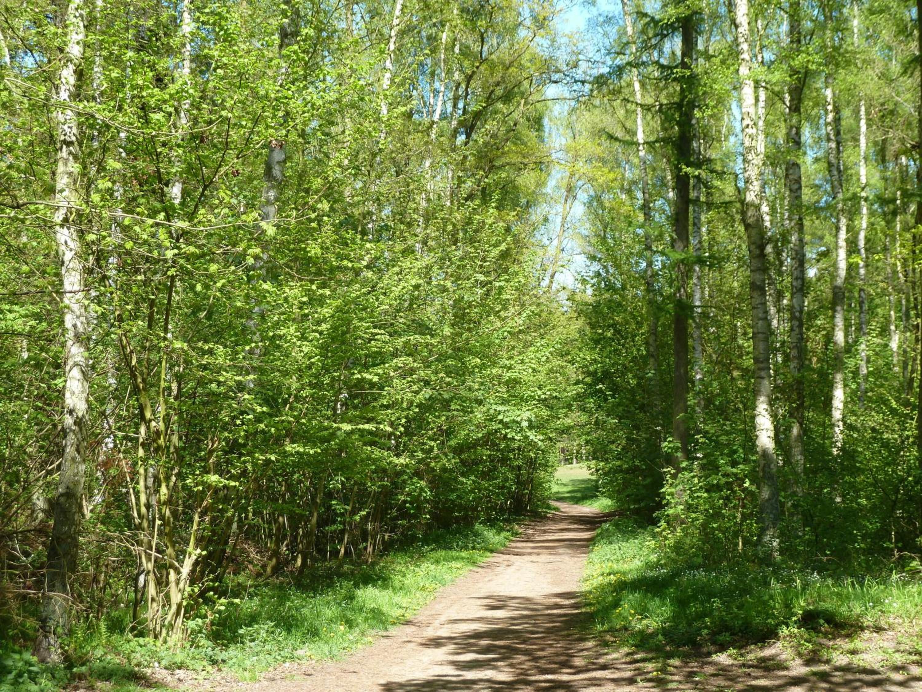 FeWo Leuchturmblick - Urlaub an Wald und Meer