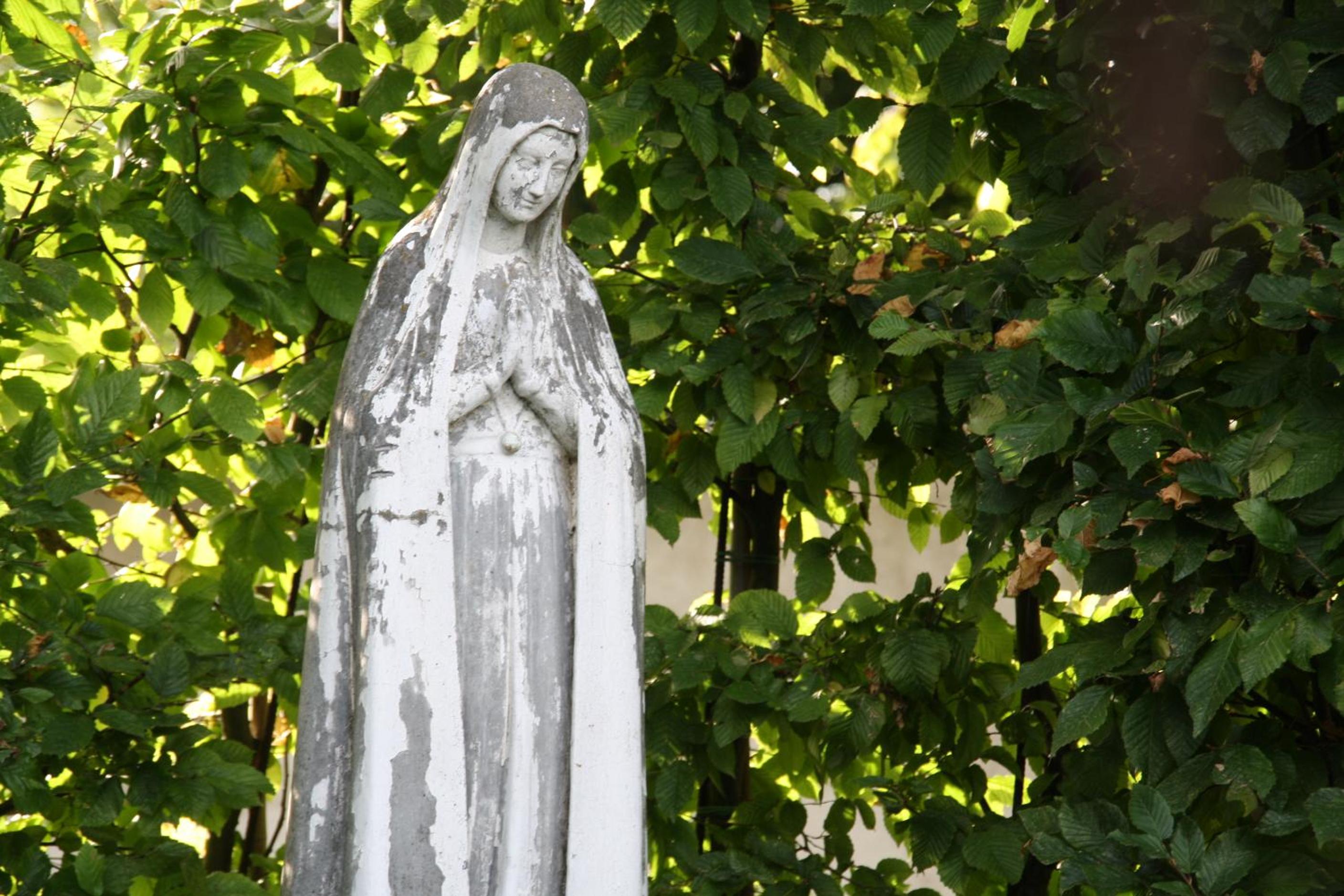 Rosario