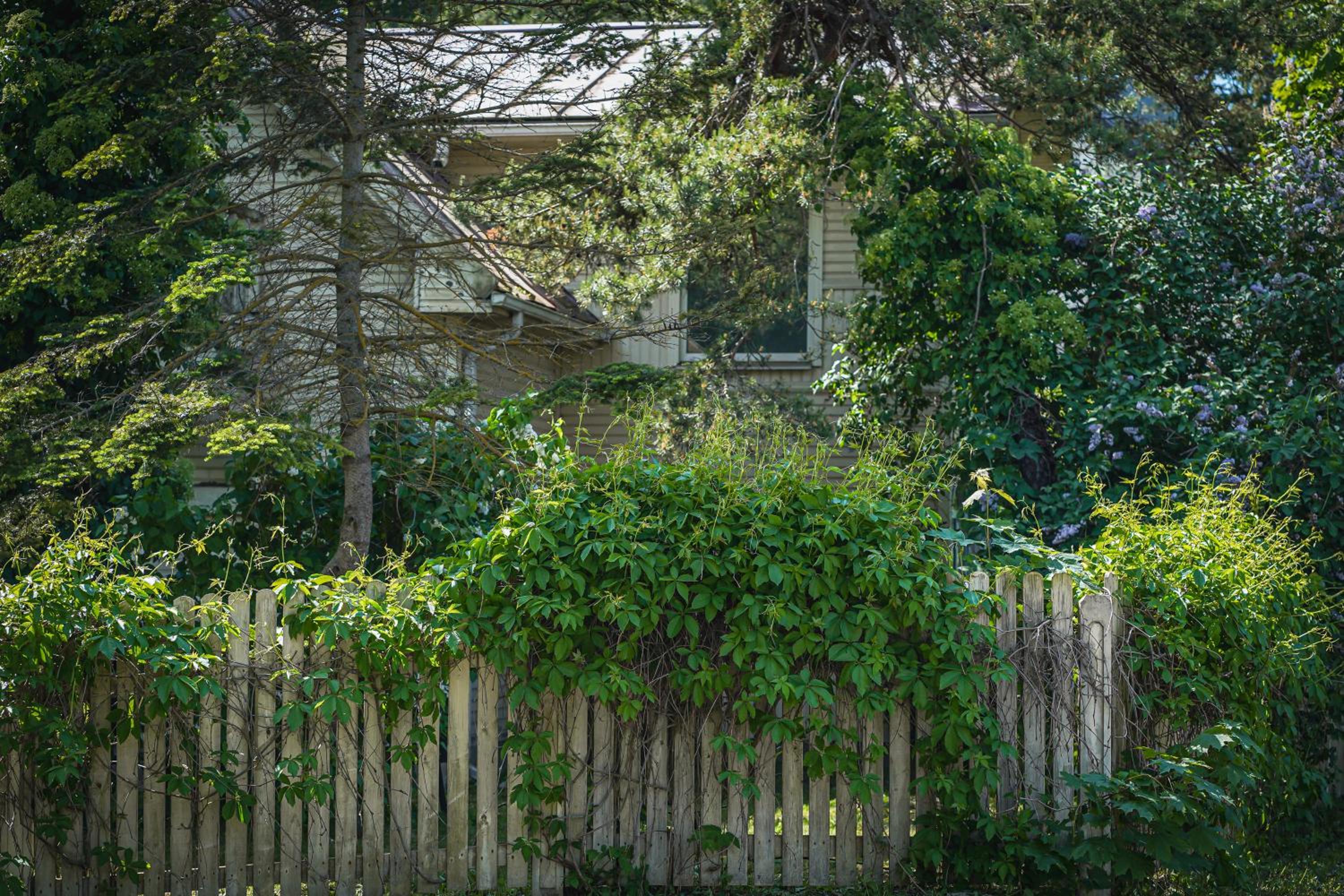 Jomas Hideaway