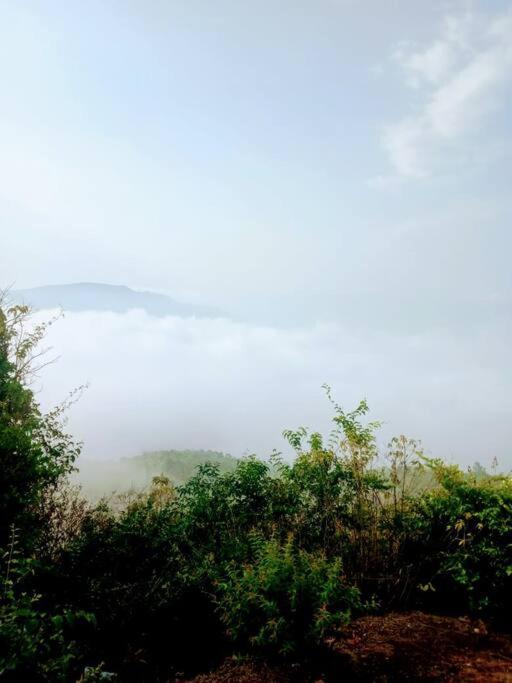NeelMohar Bellevue 8 view 5