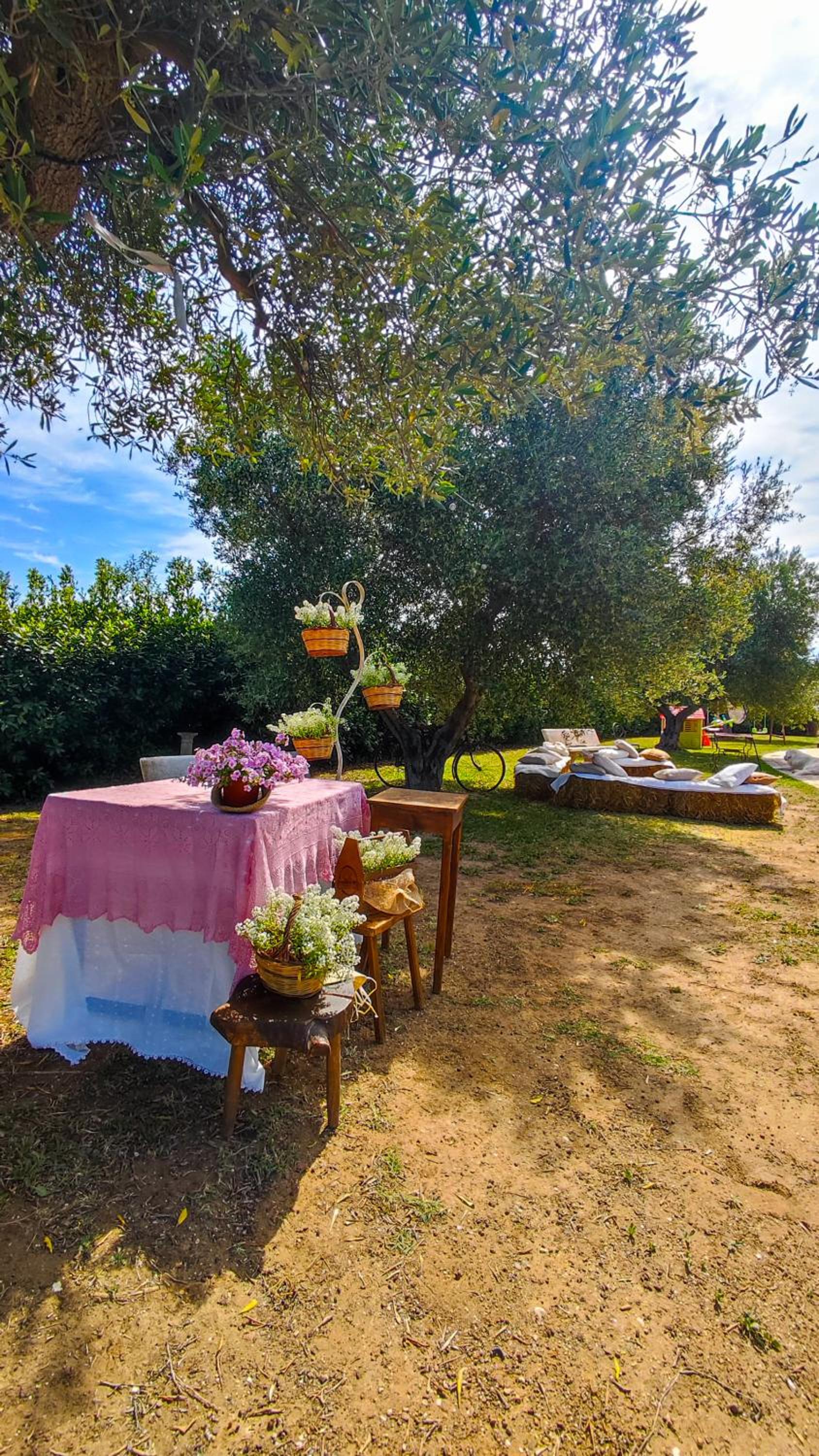 Agriturismo San Michele in Triglie view 5