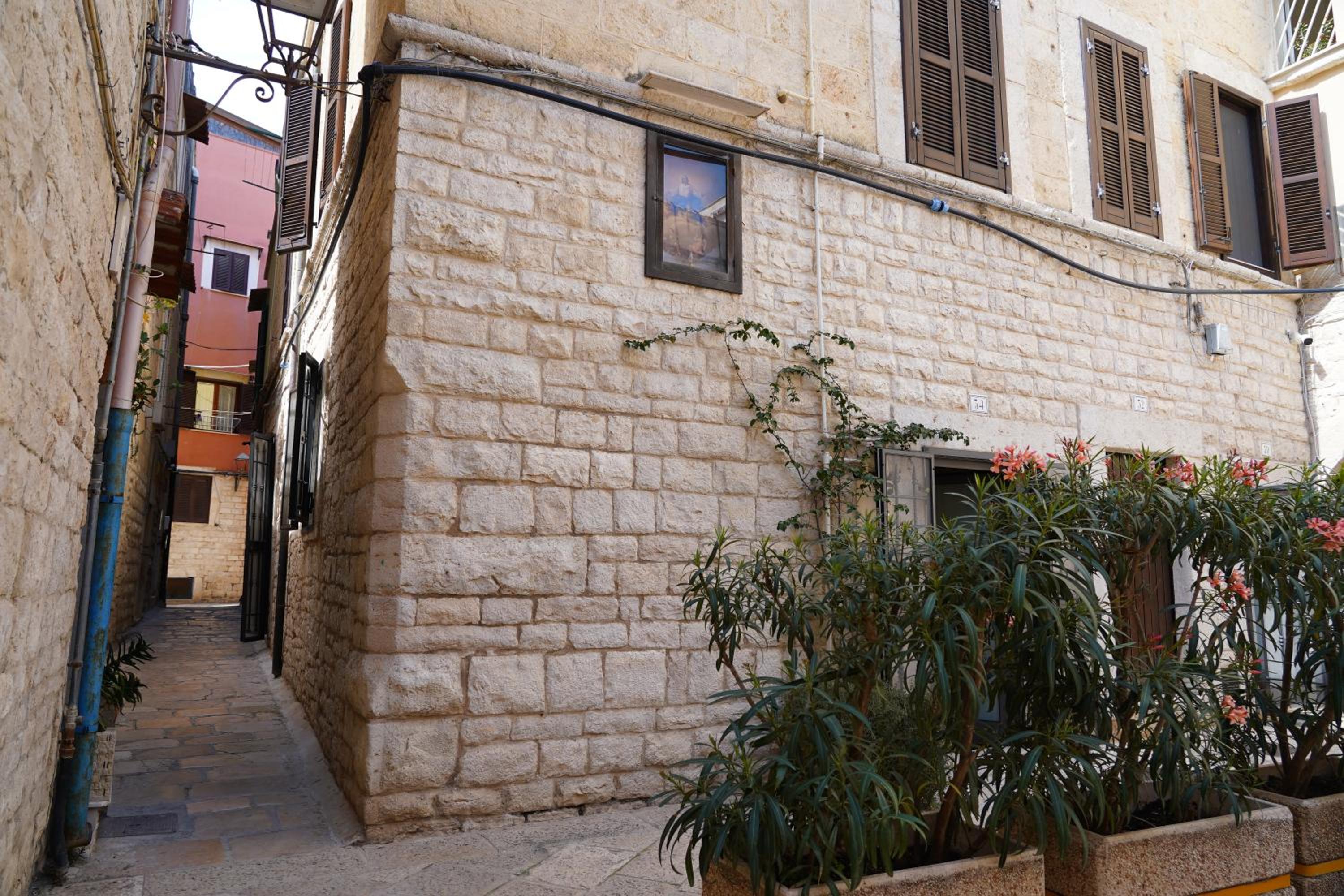 Terra di Trani photo 3