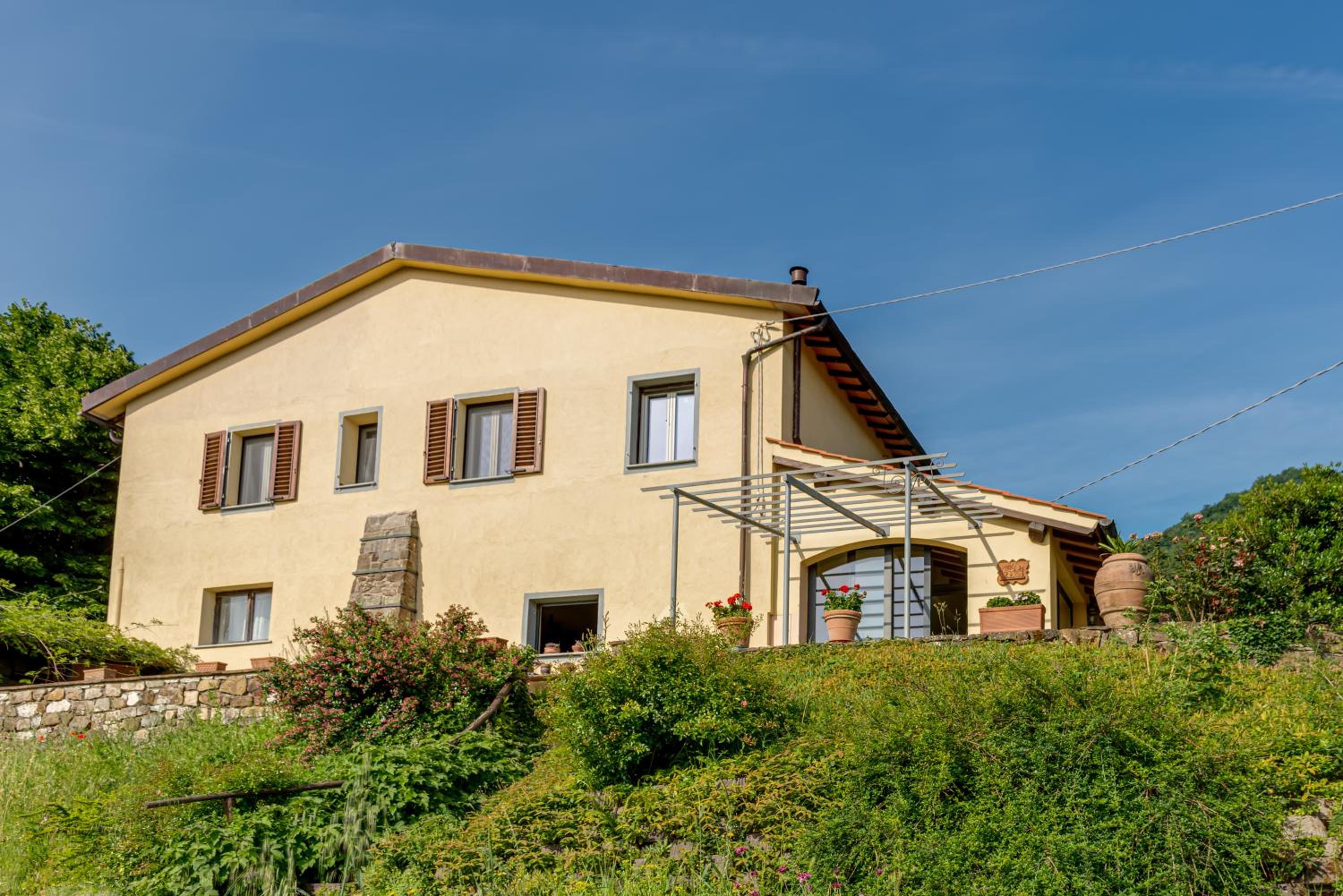 Villa Porcigliano Olive Grove