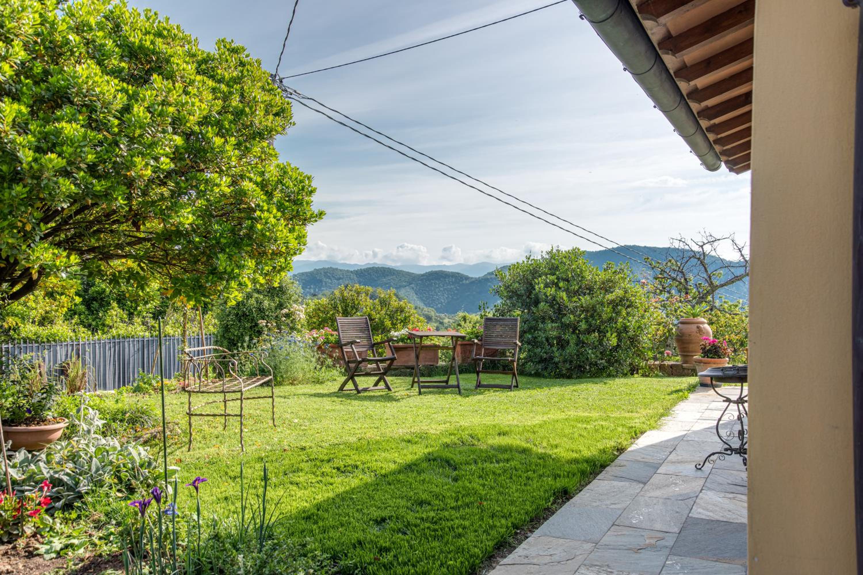 Villa Porcigliano Olive Grove