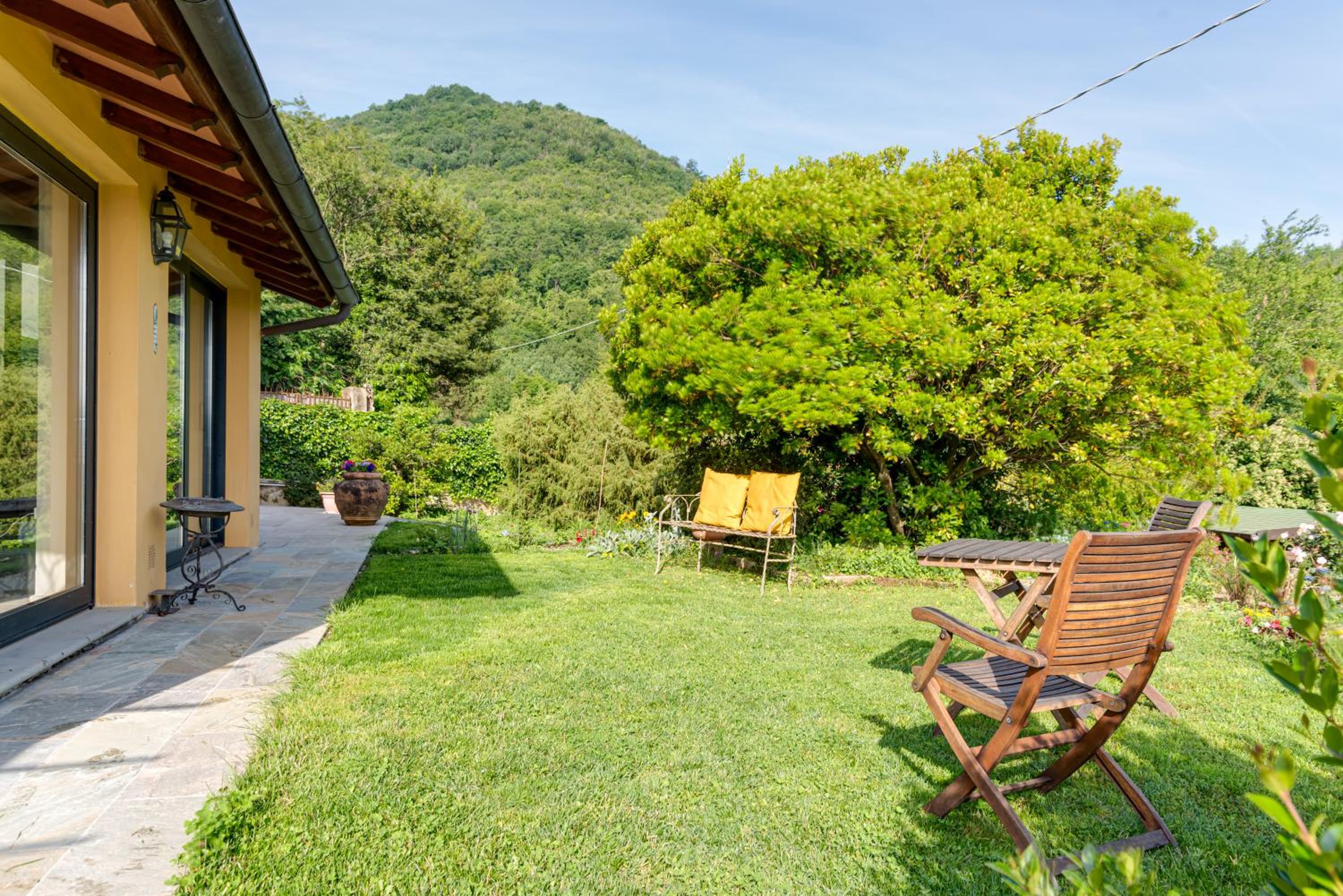Villa Porcigliano Olive Grove
