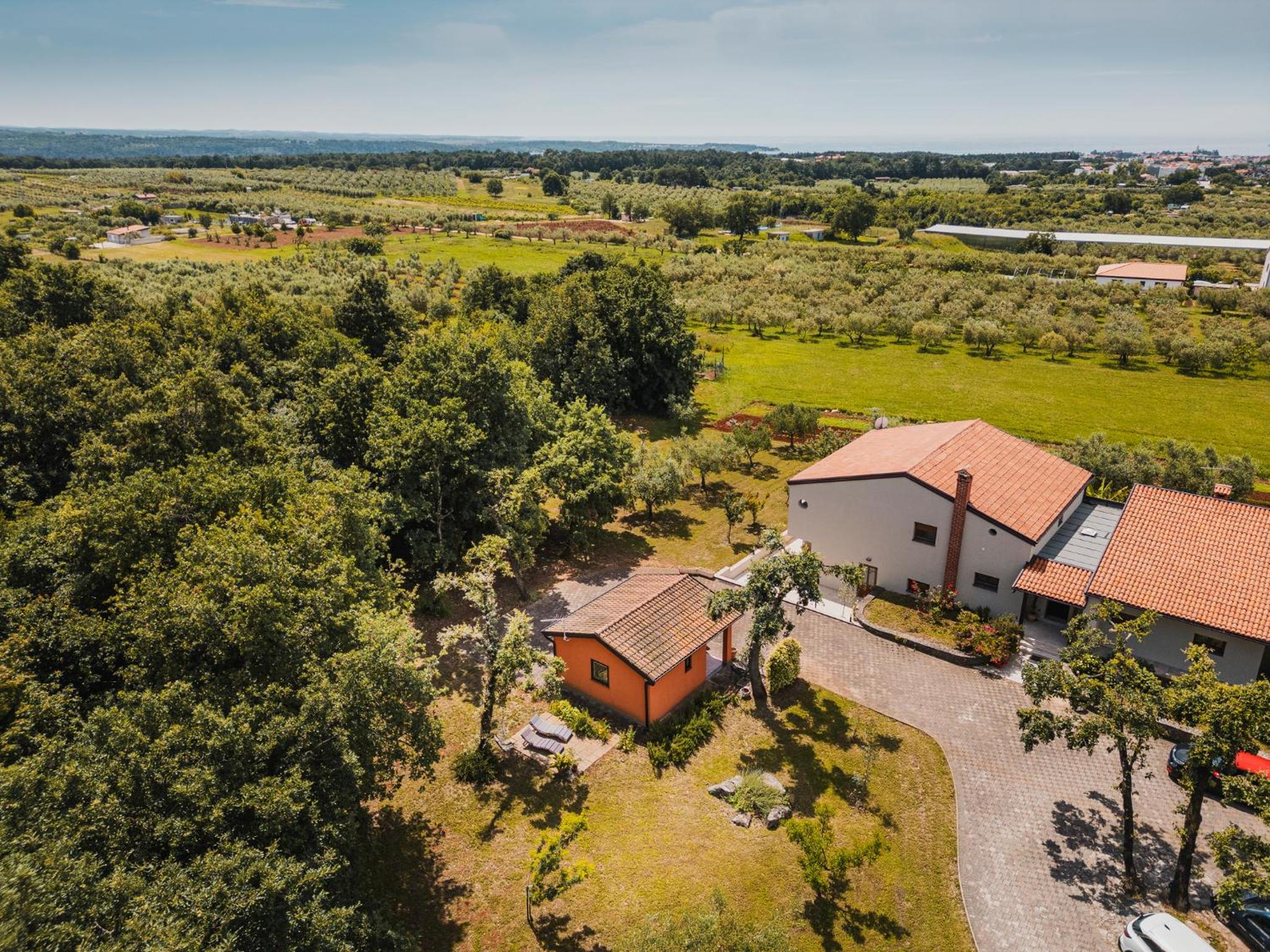 Apartments Olea view 5
