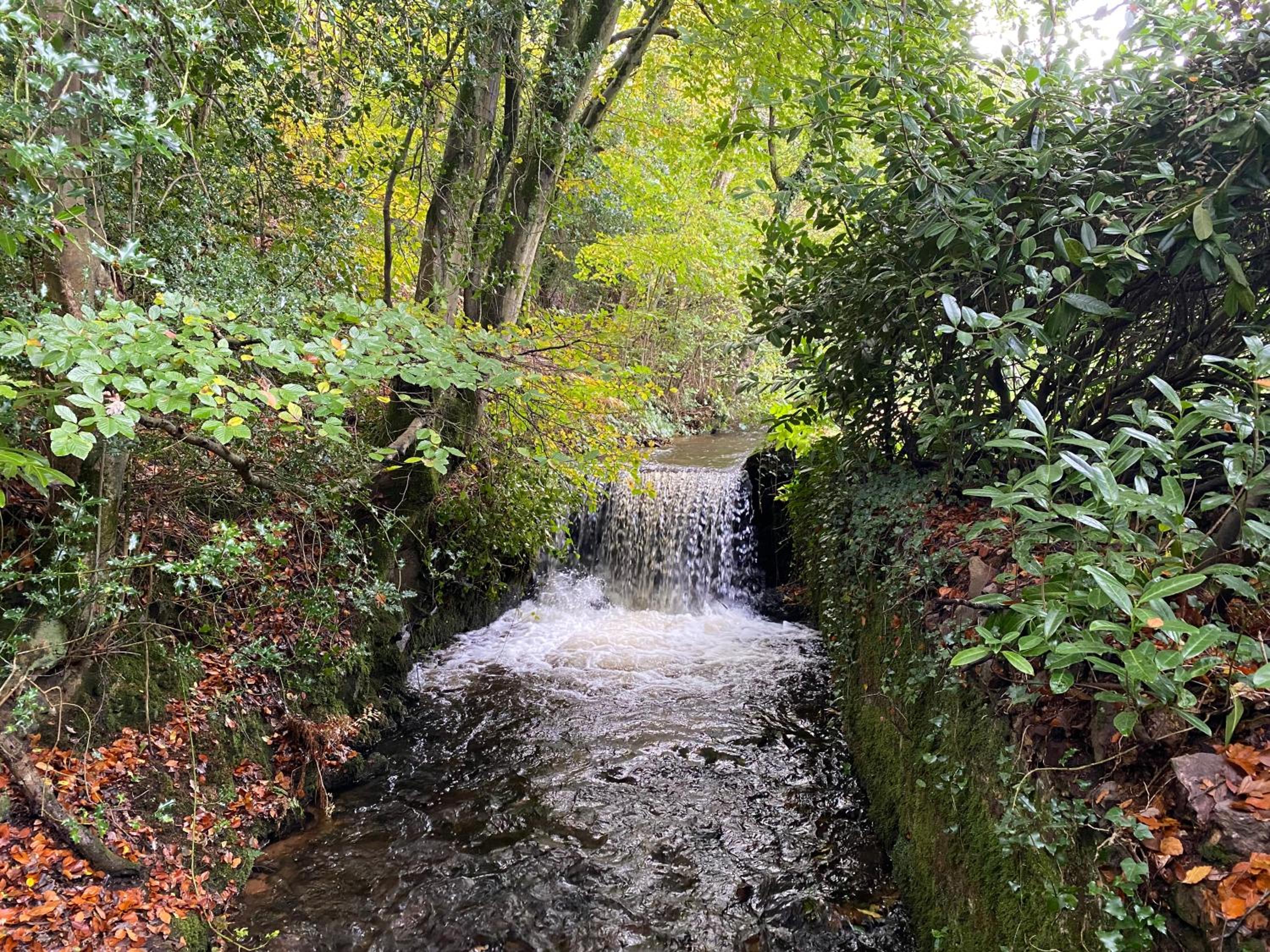 Photo 17