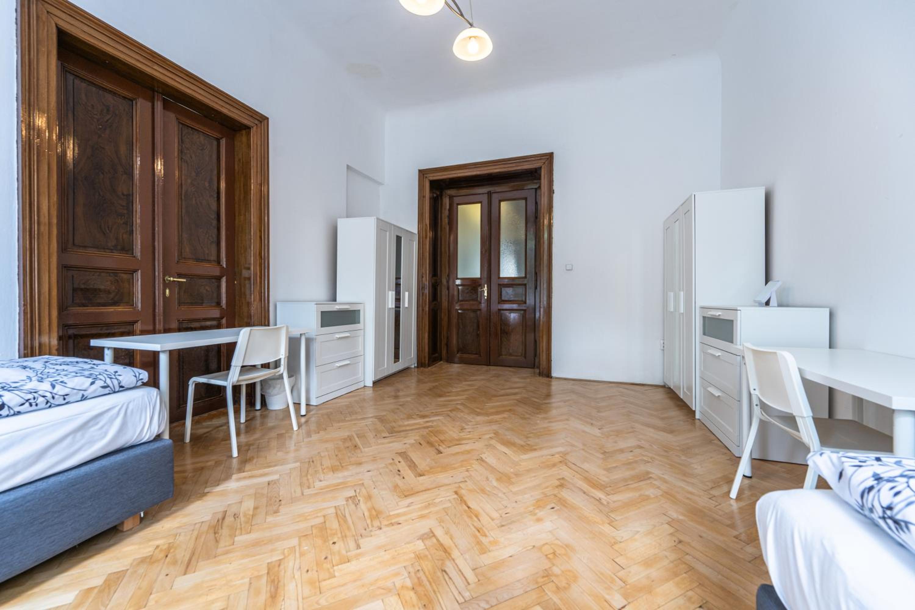 Apartments Safarikova 18