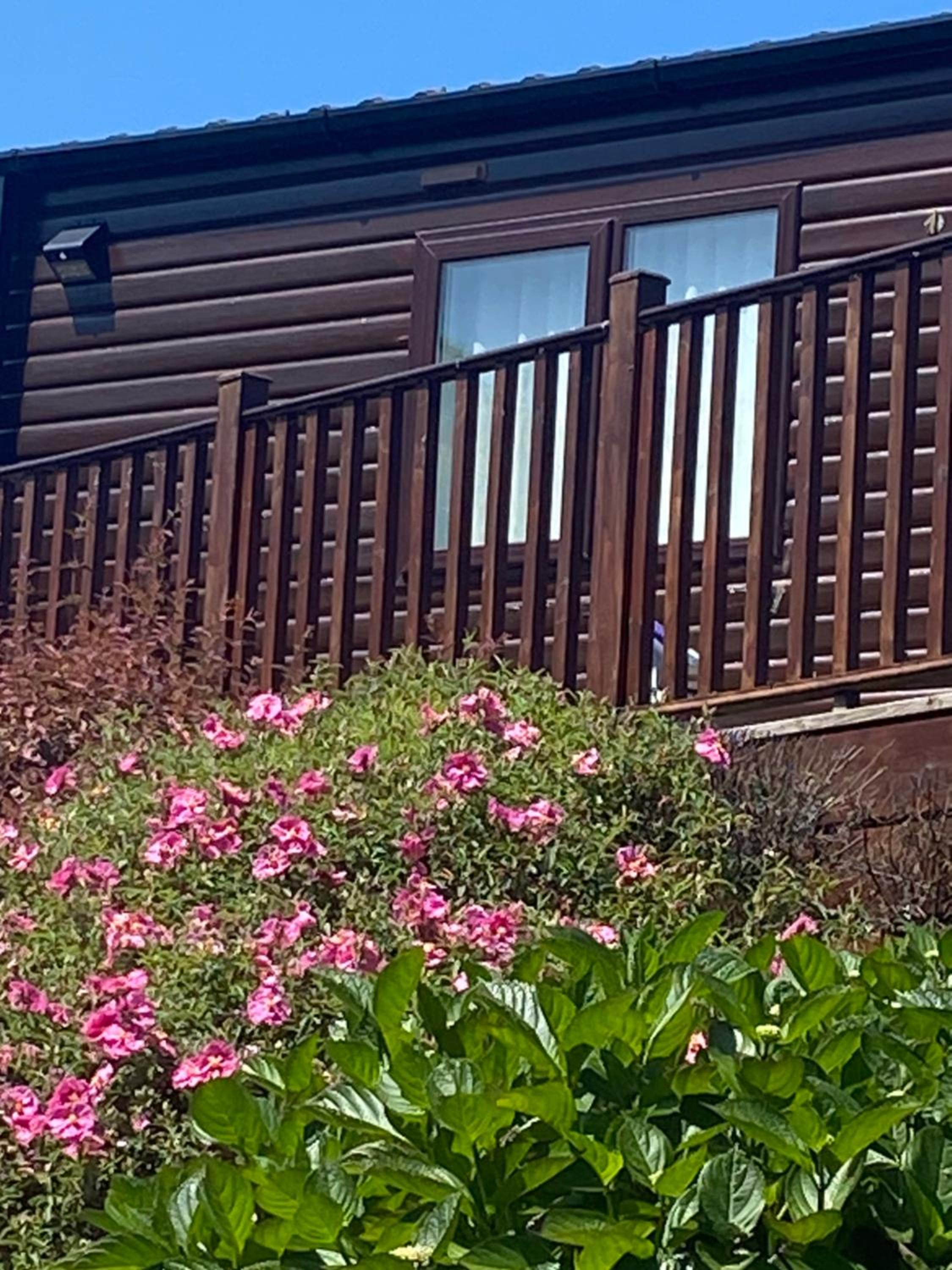 Bumblebee Lodge