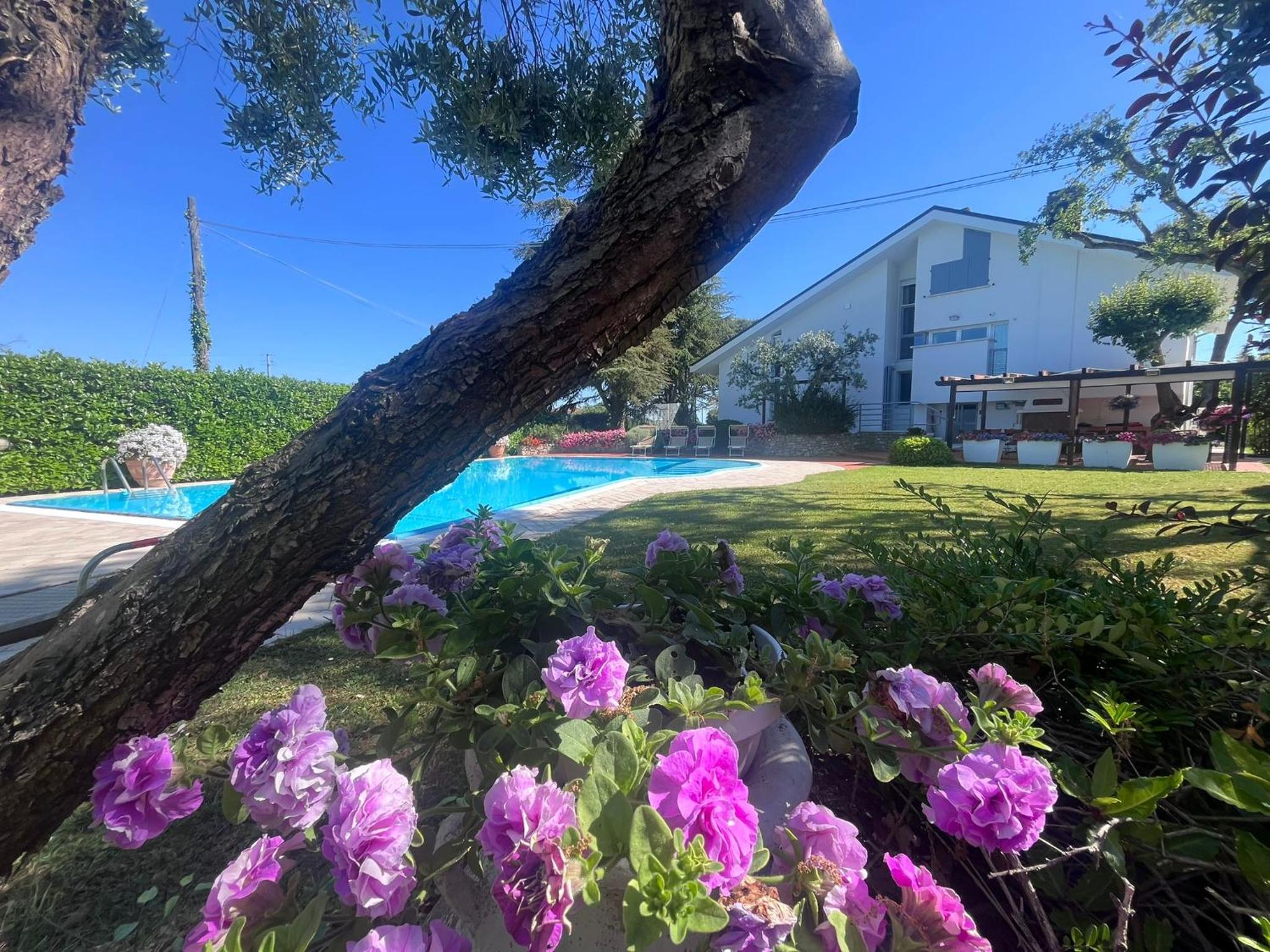 Villa Pronti Santarcangelo - Rimini view 3