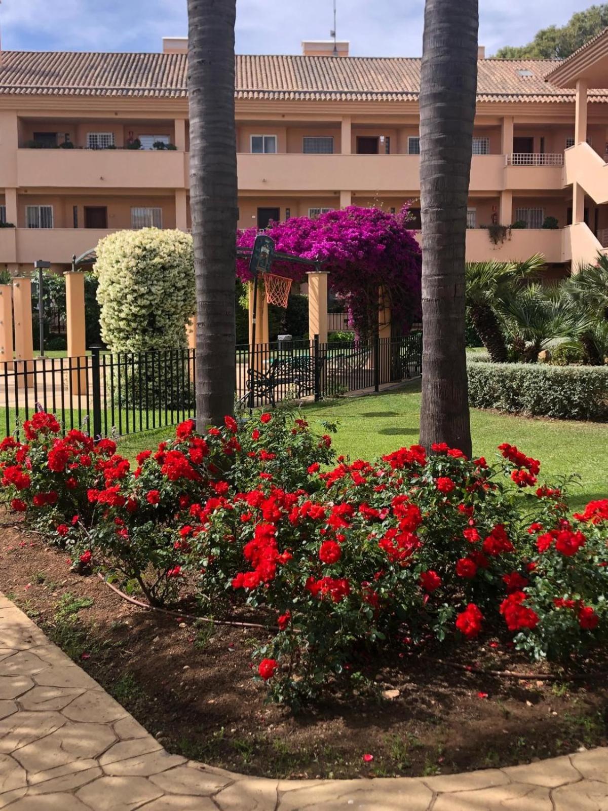 Luxury Duplex Penthouse photo 3