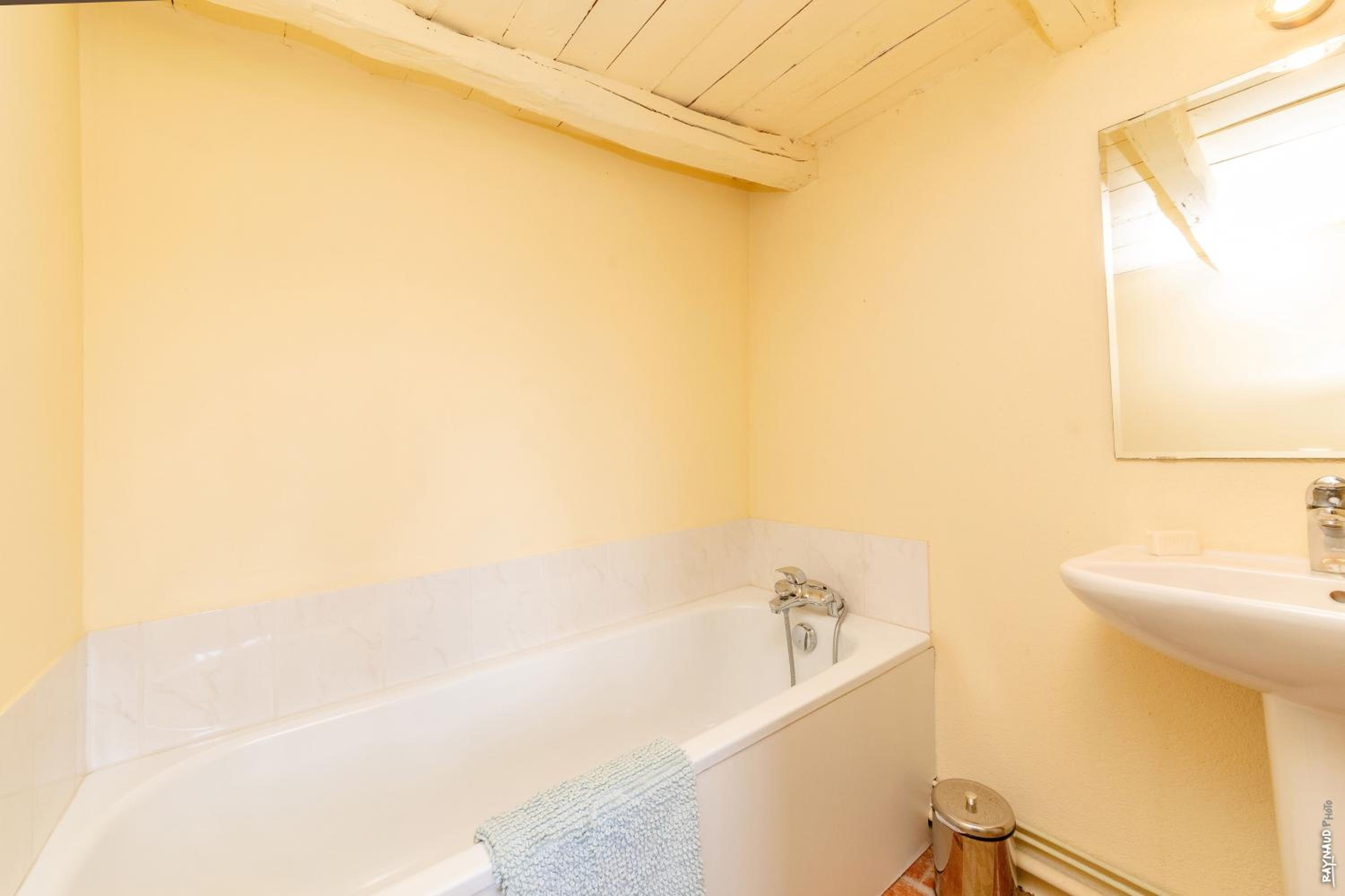 Maison Augustine - 300m2- Lisle-sur-Tarn