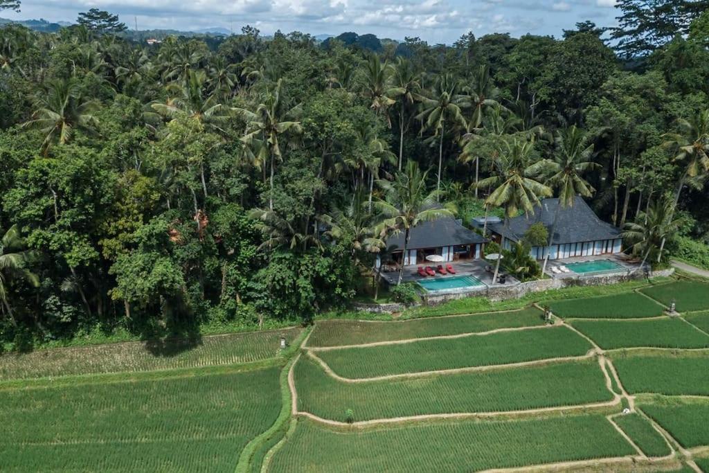 1BRV Cozy Villa with Amazing Rice Paddy View view 4