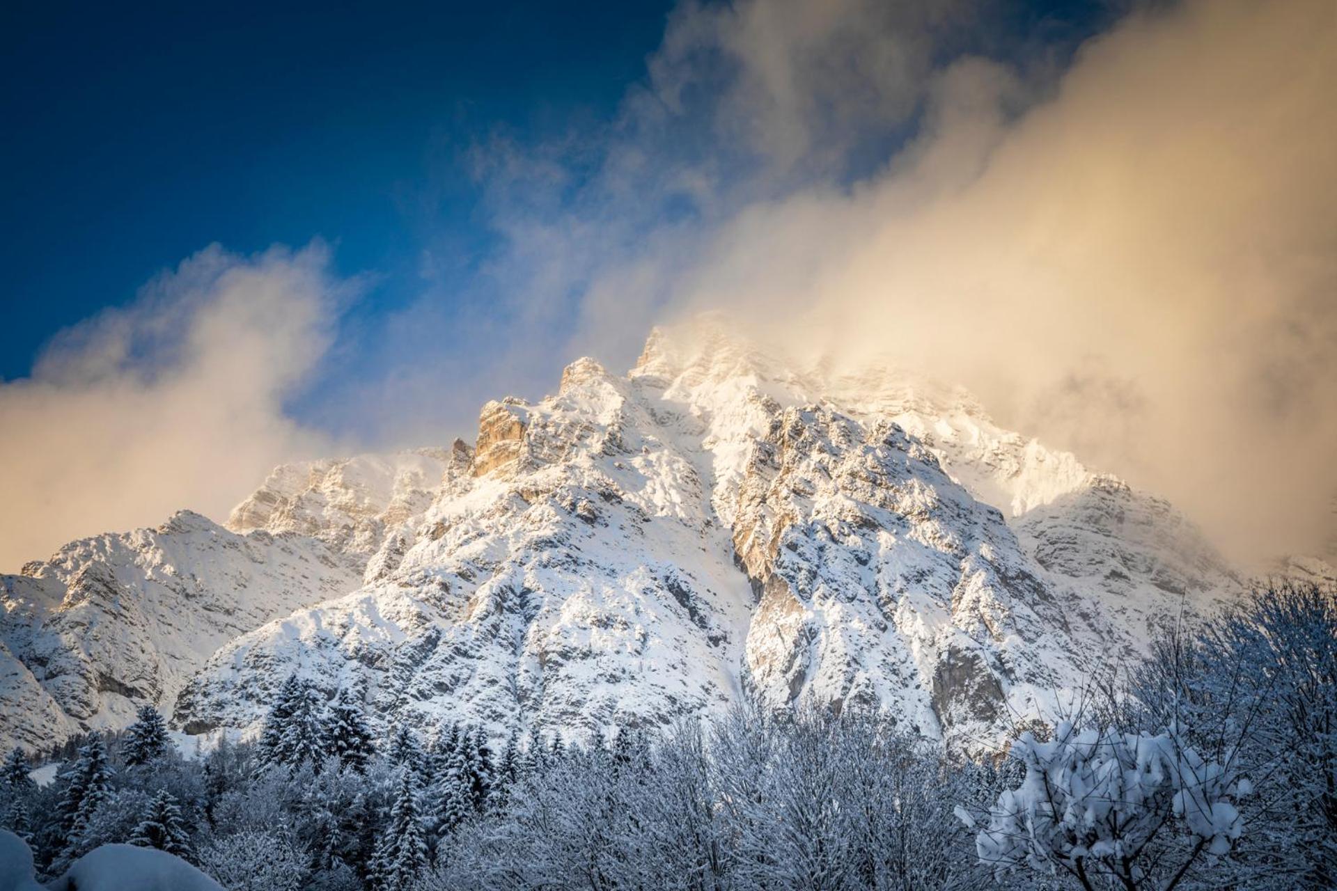 Appartement Asitzblick