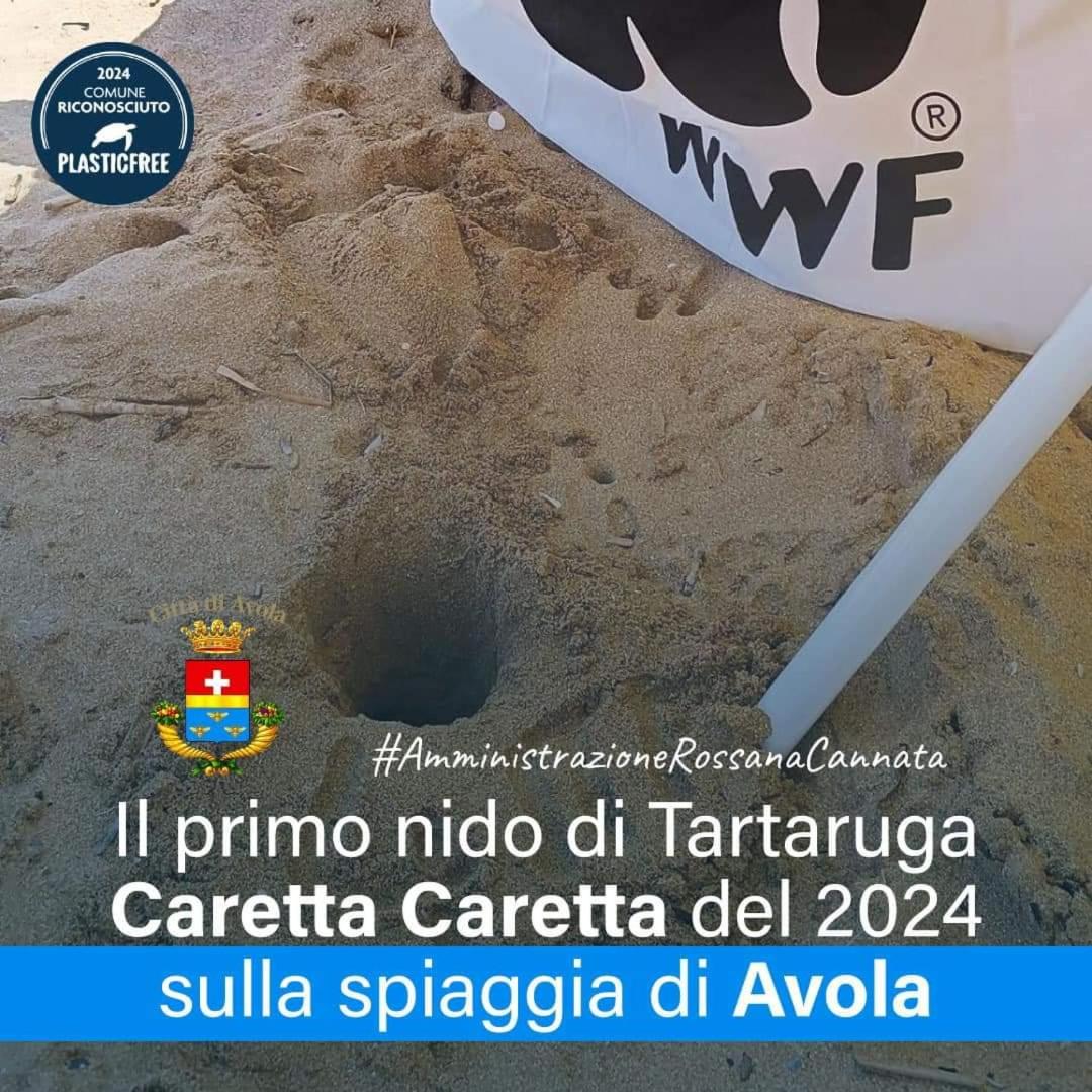 A Za' Nella Avola view 2