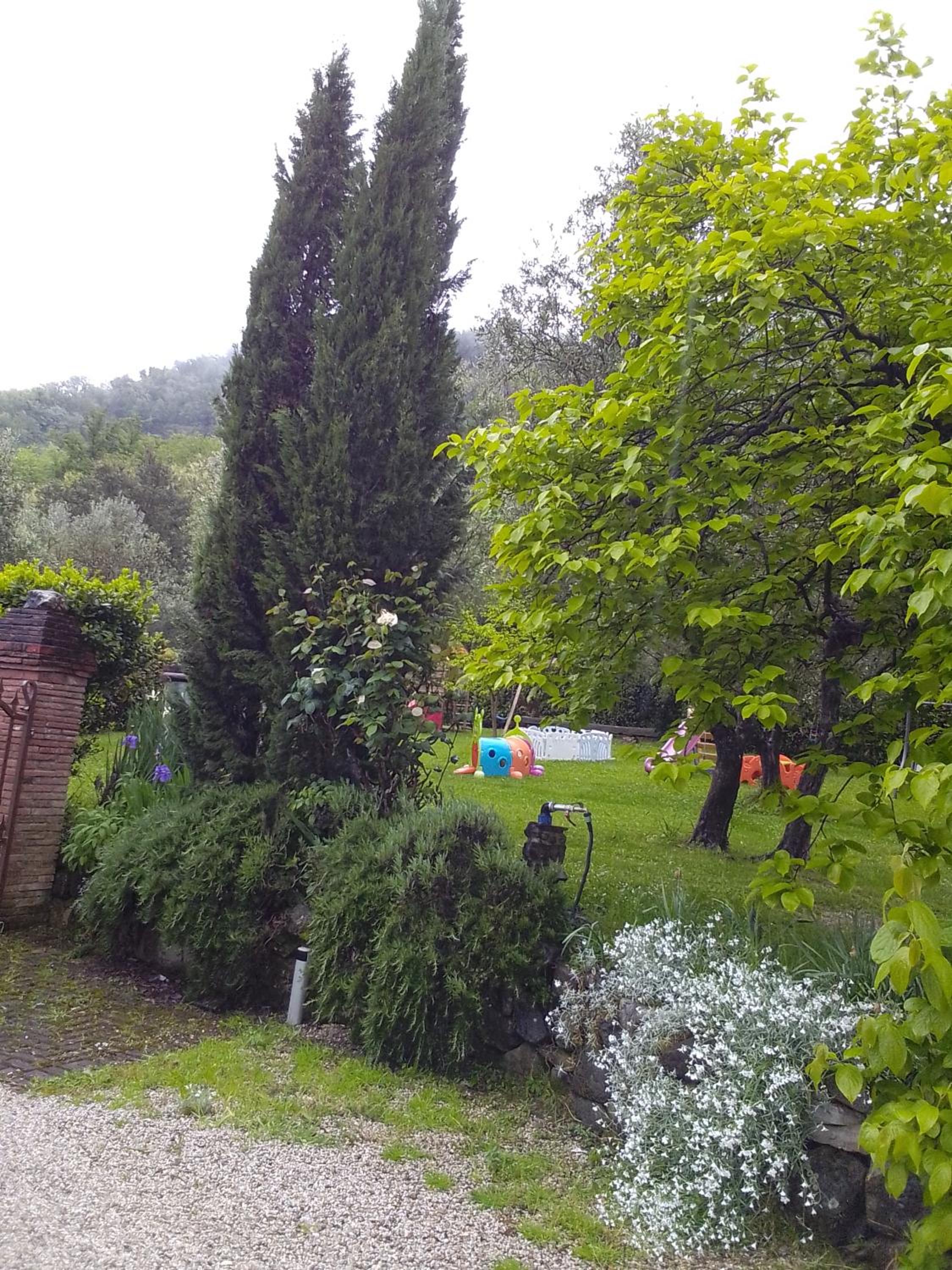 Photo 56